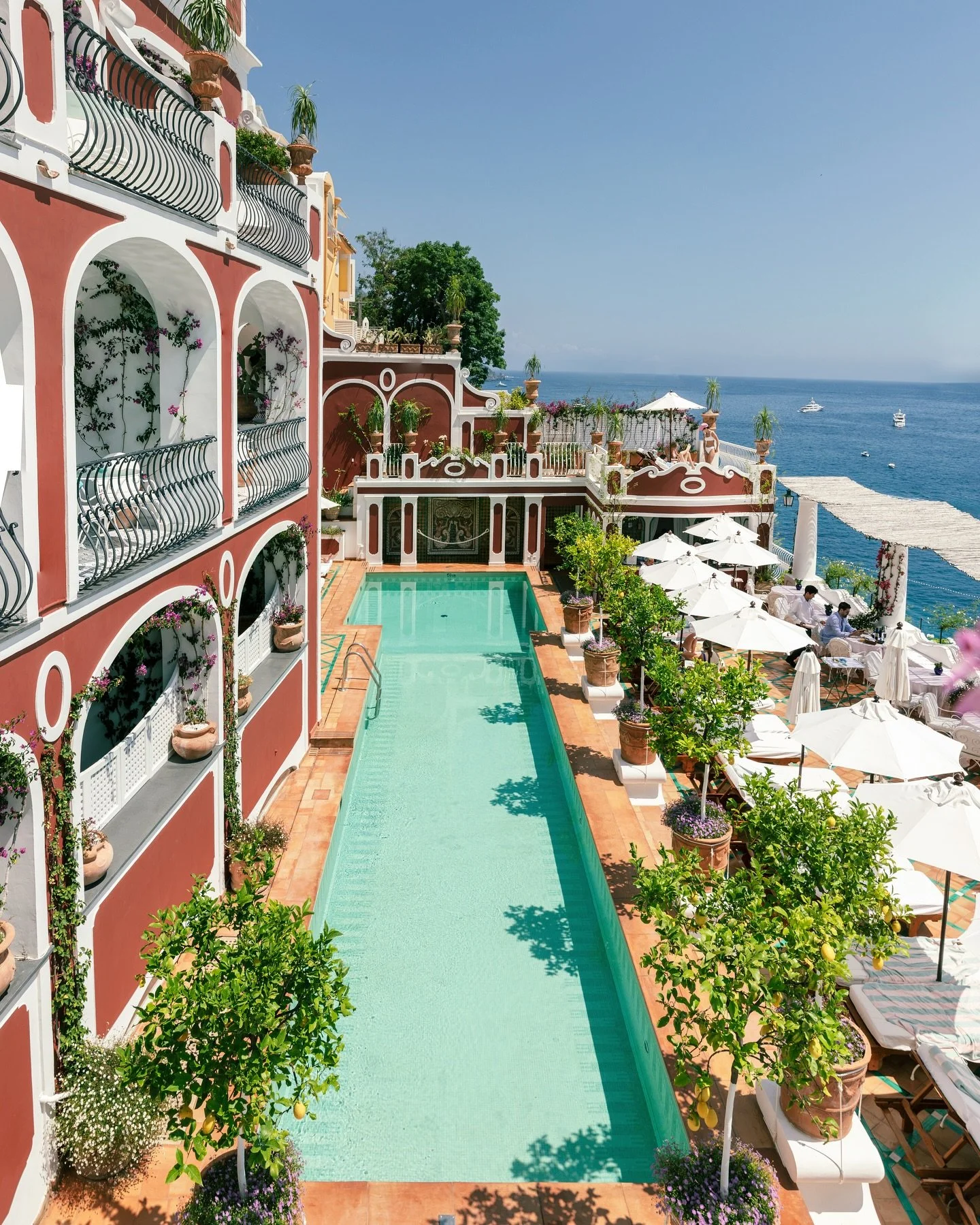 One more for good measure @lesirenuse