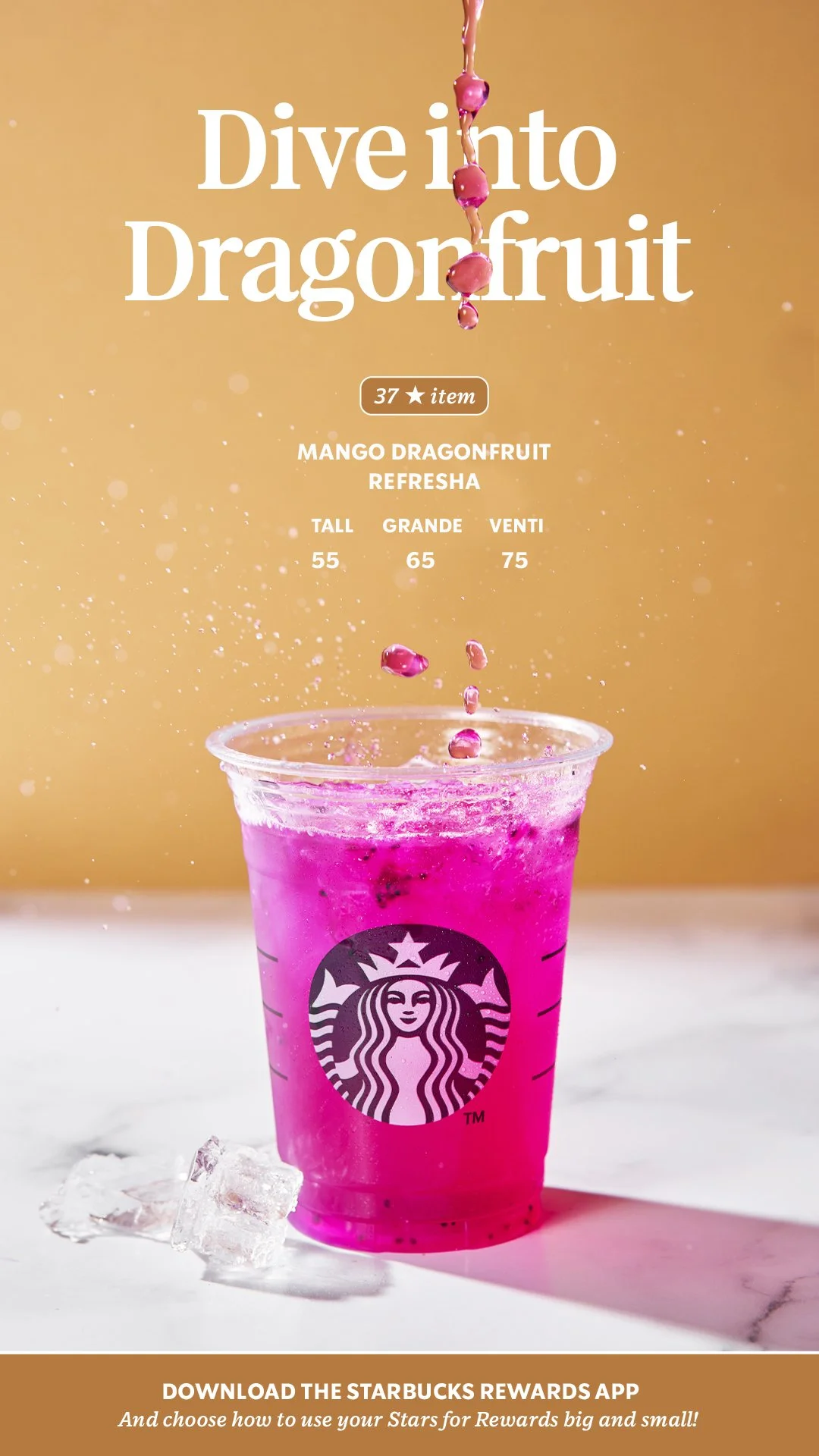 Dive into Dragonfruit-01.jpg