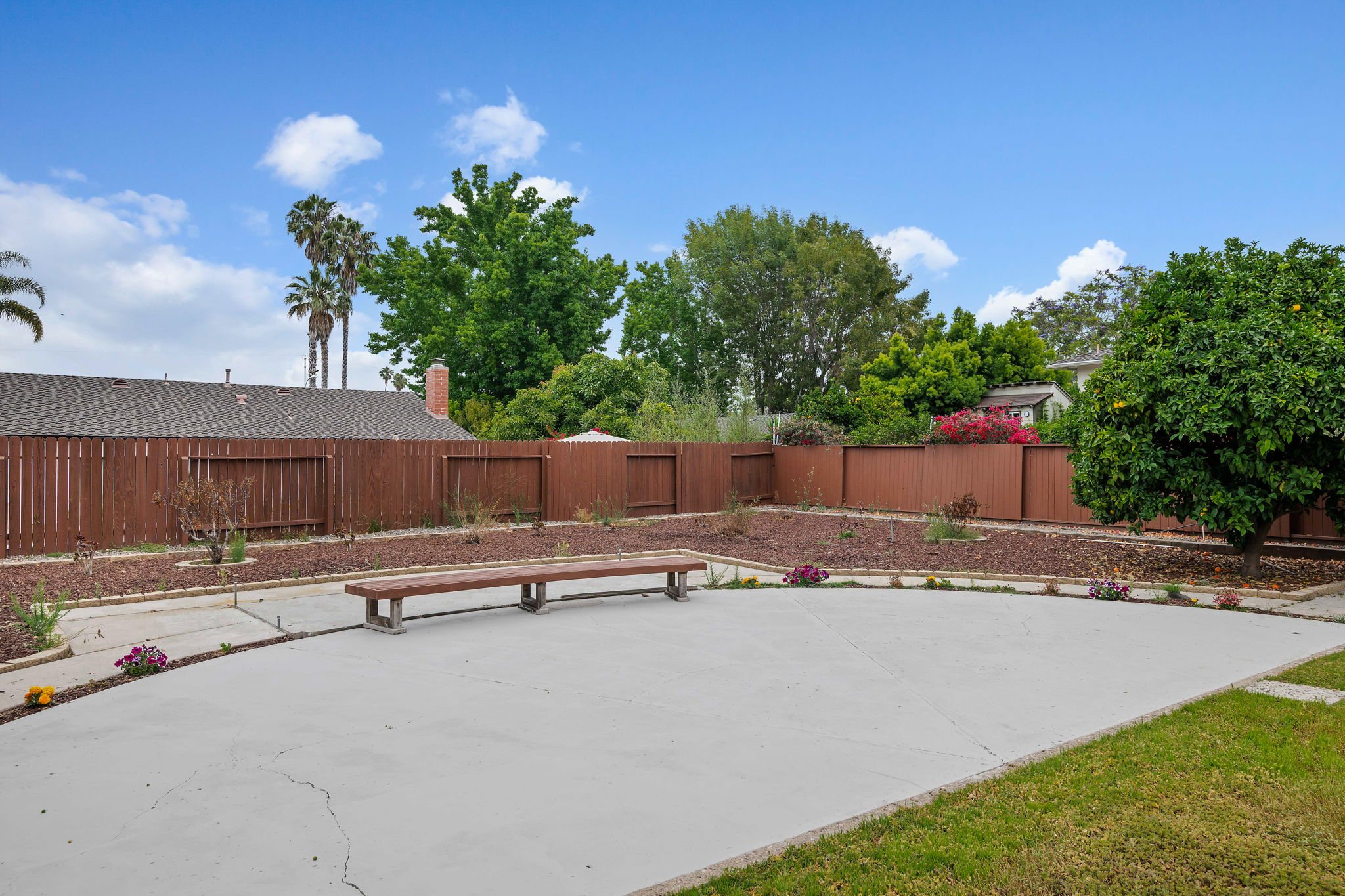 20 - Back Yard.jpg