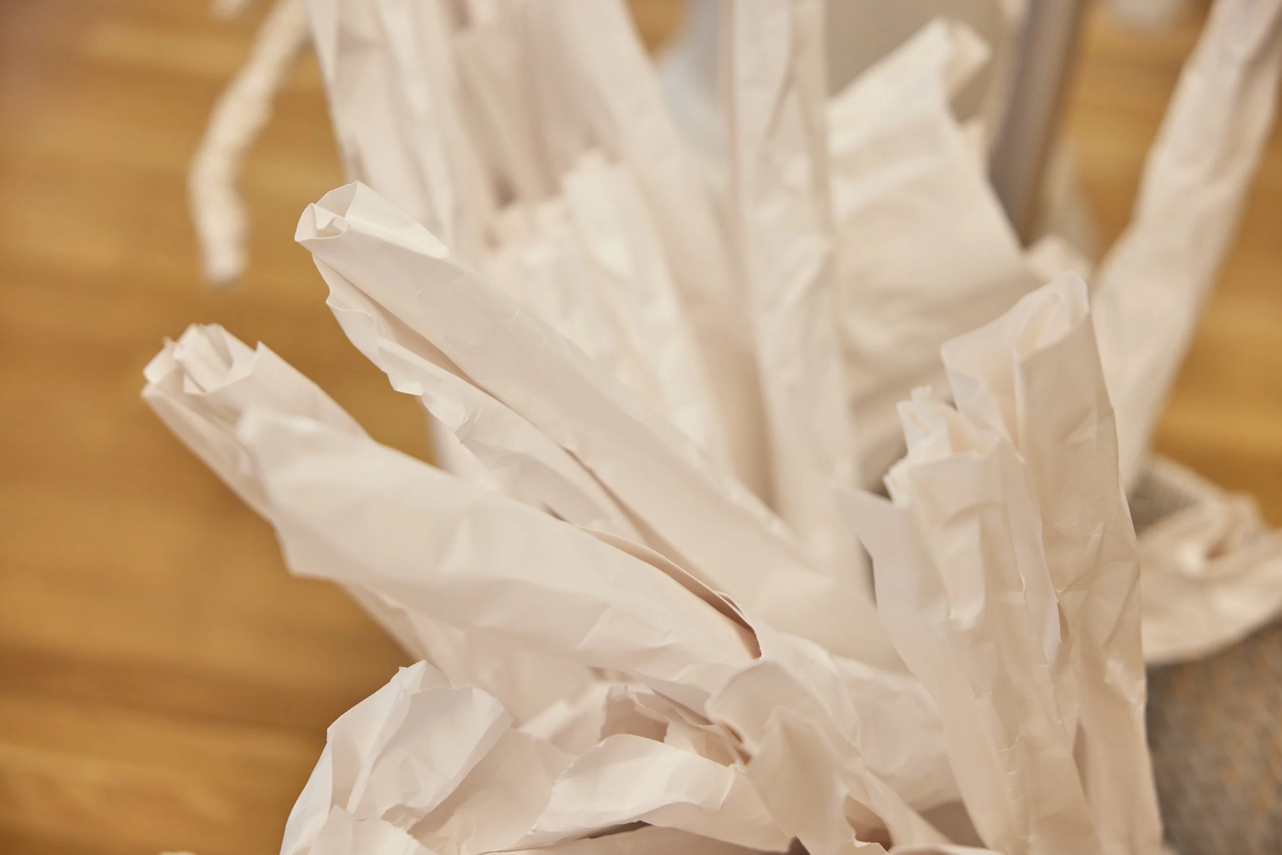 FR5_9811.jpg
