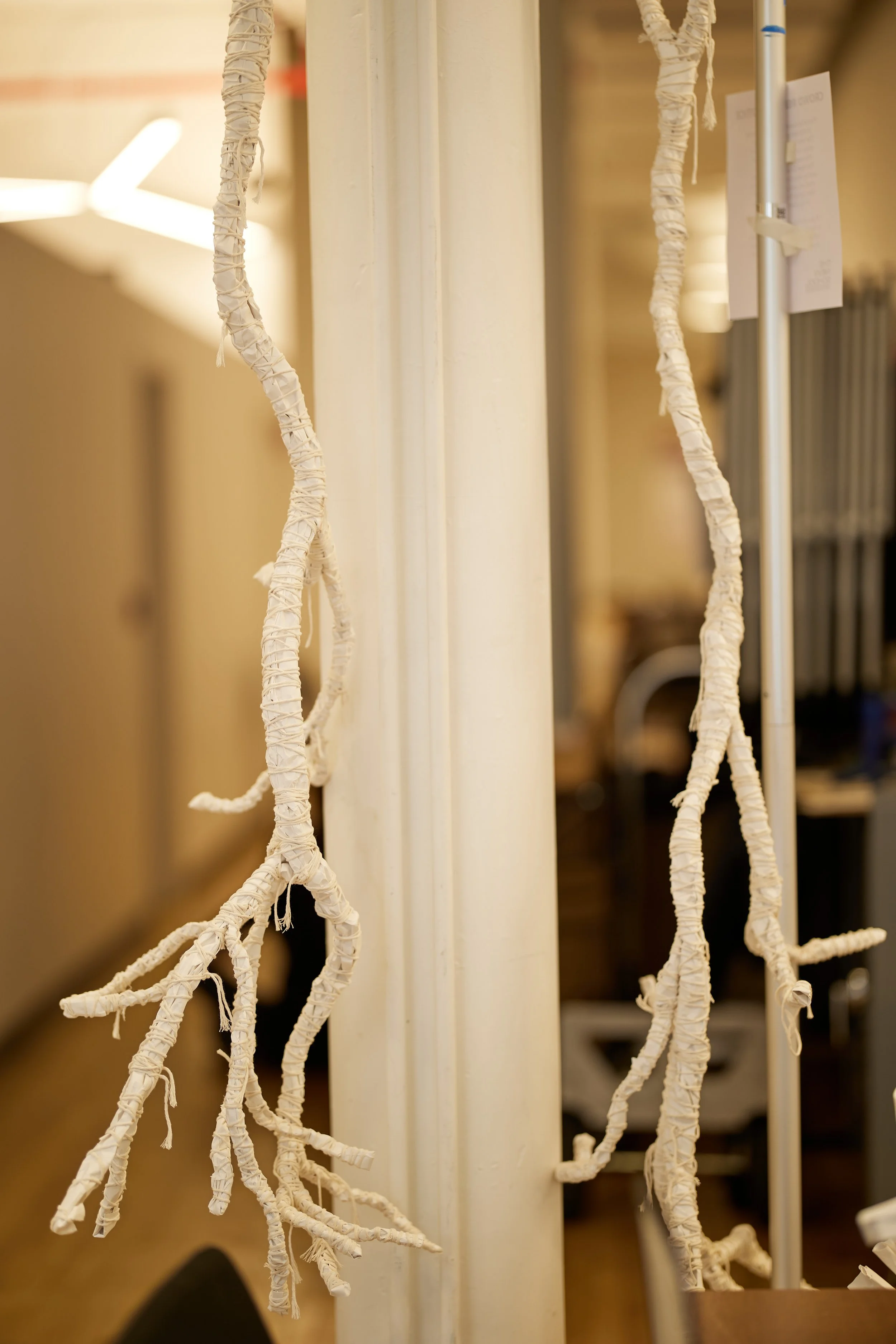 FR6_9840.jpg