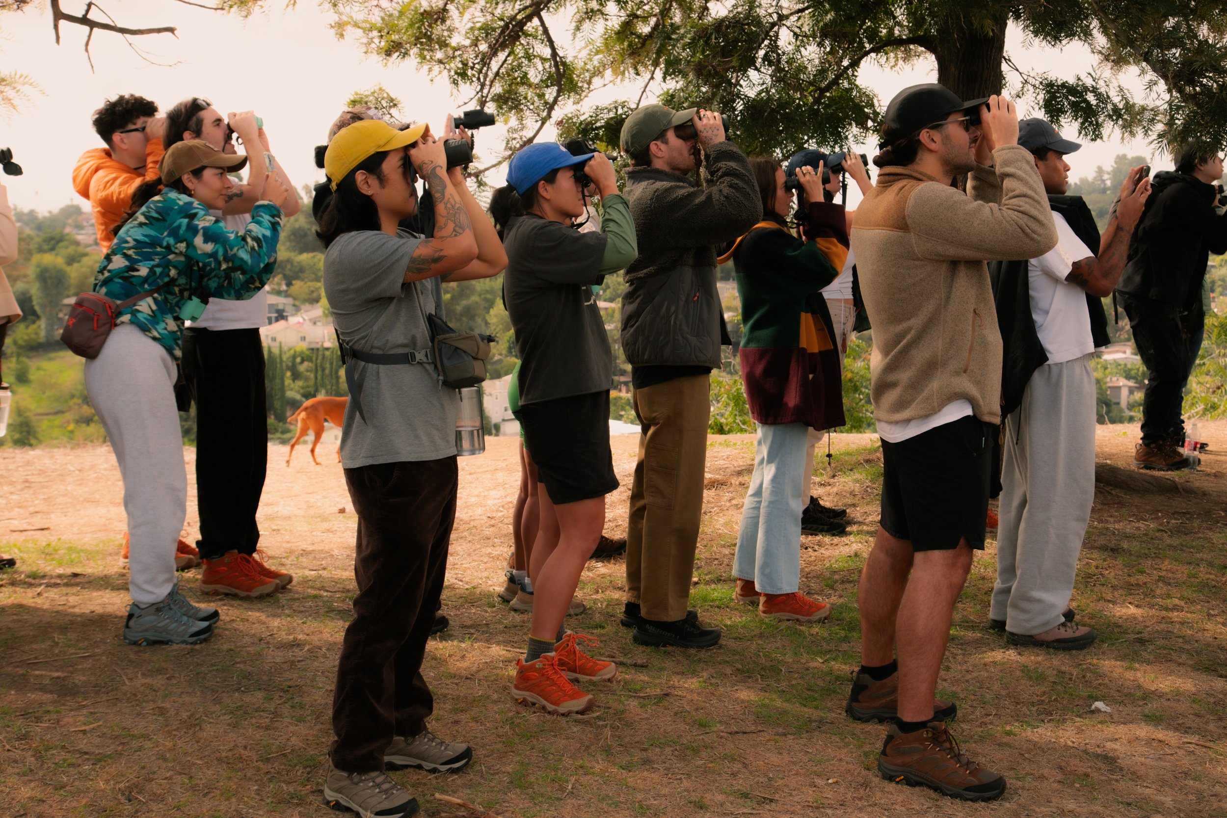 USAL bird watching workshop. los angeles. 2023.