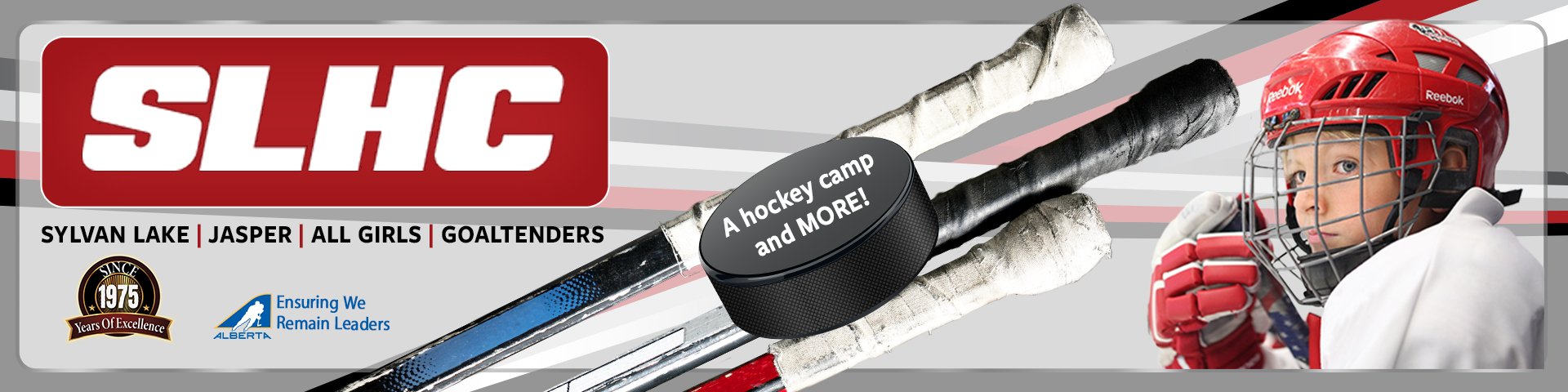 Social Media cover image created for SLHC