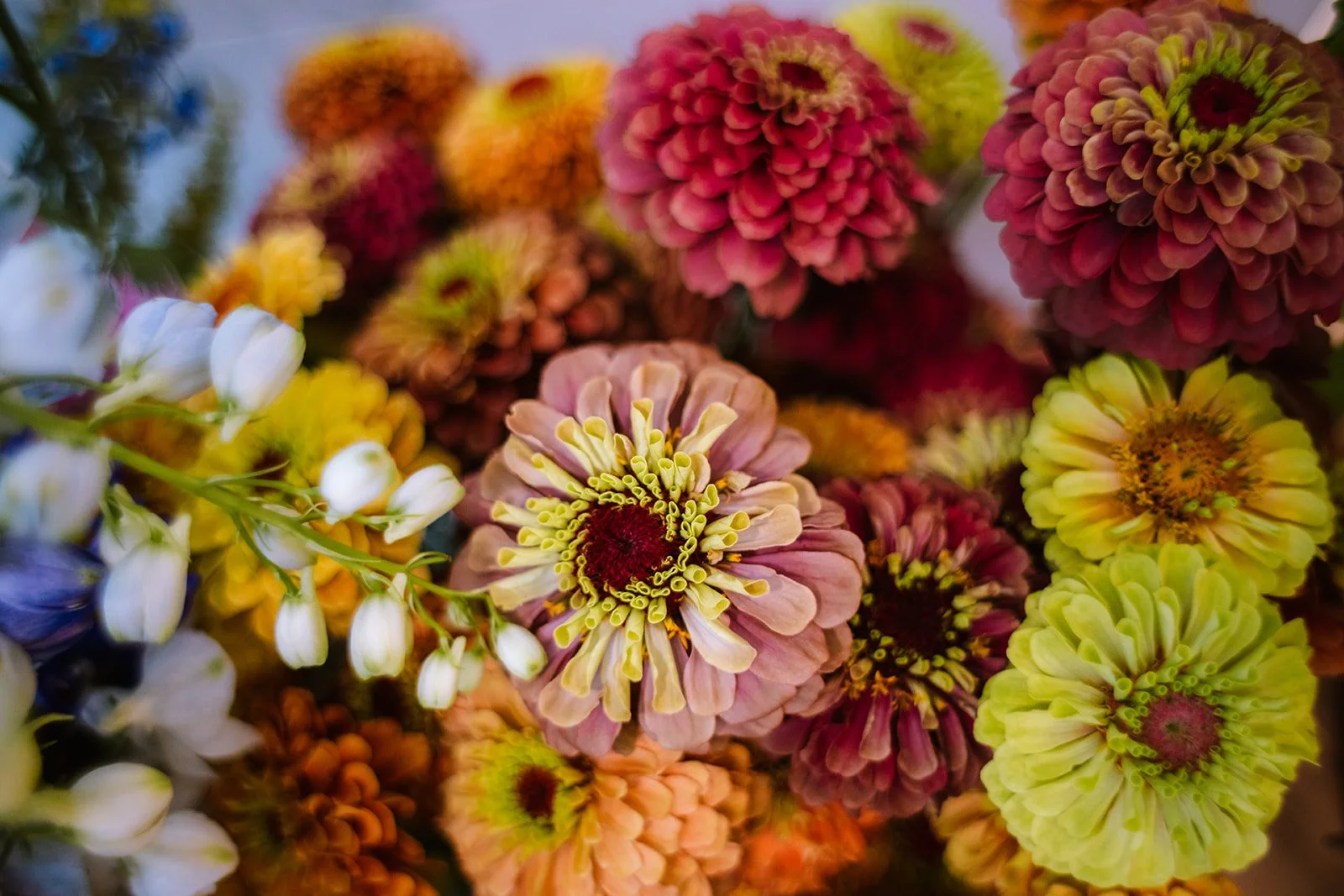 Lansing Michigan Florist — Sparrow Bloom