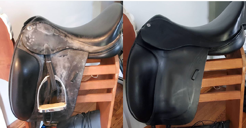 before and after saddle