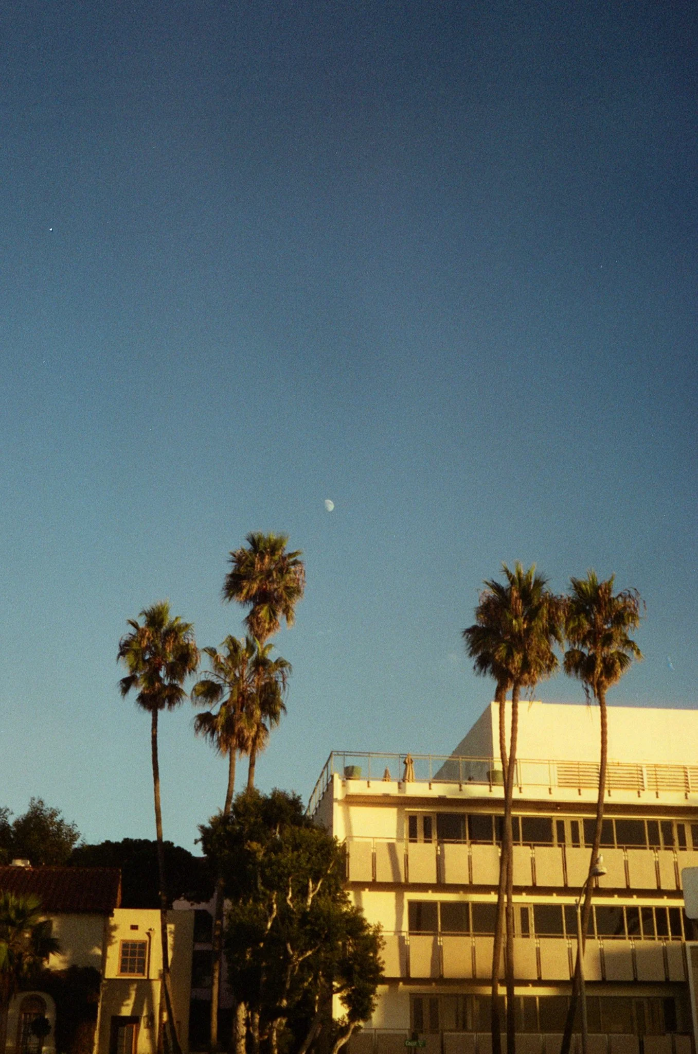 Cinestill400d-3.jpg