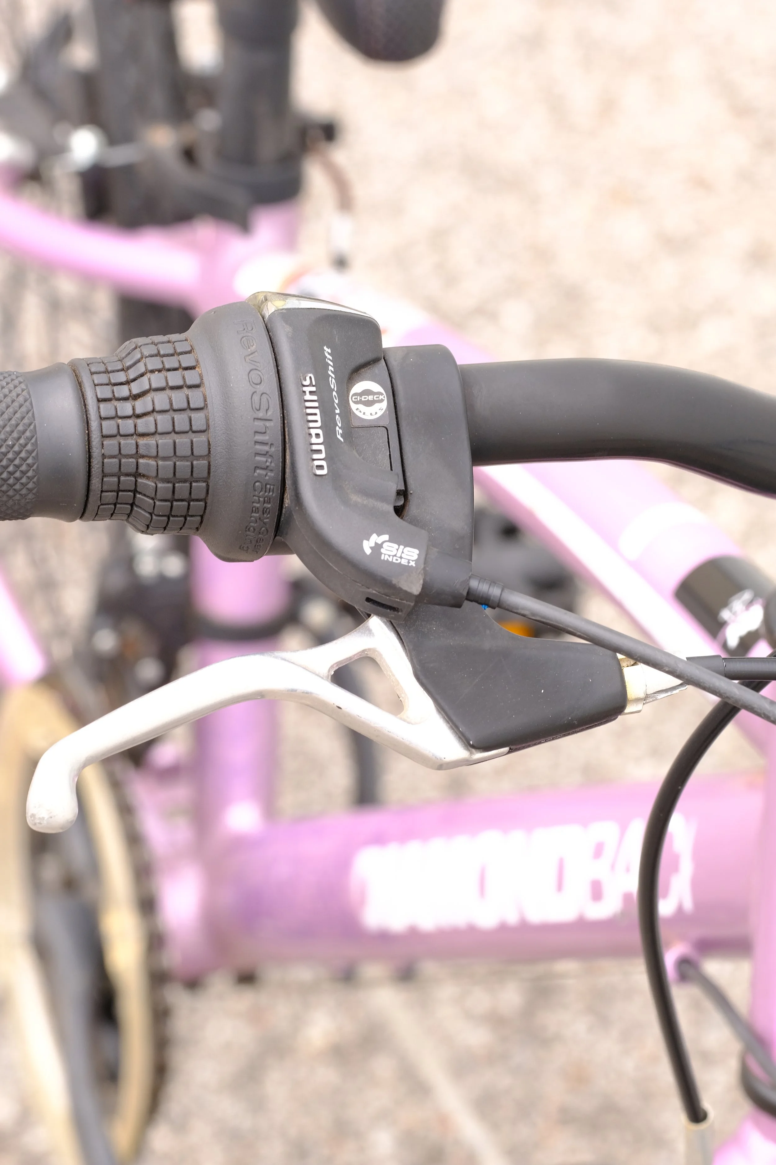 Diamondback Clarity 4.JPG