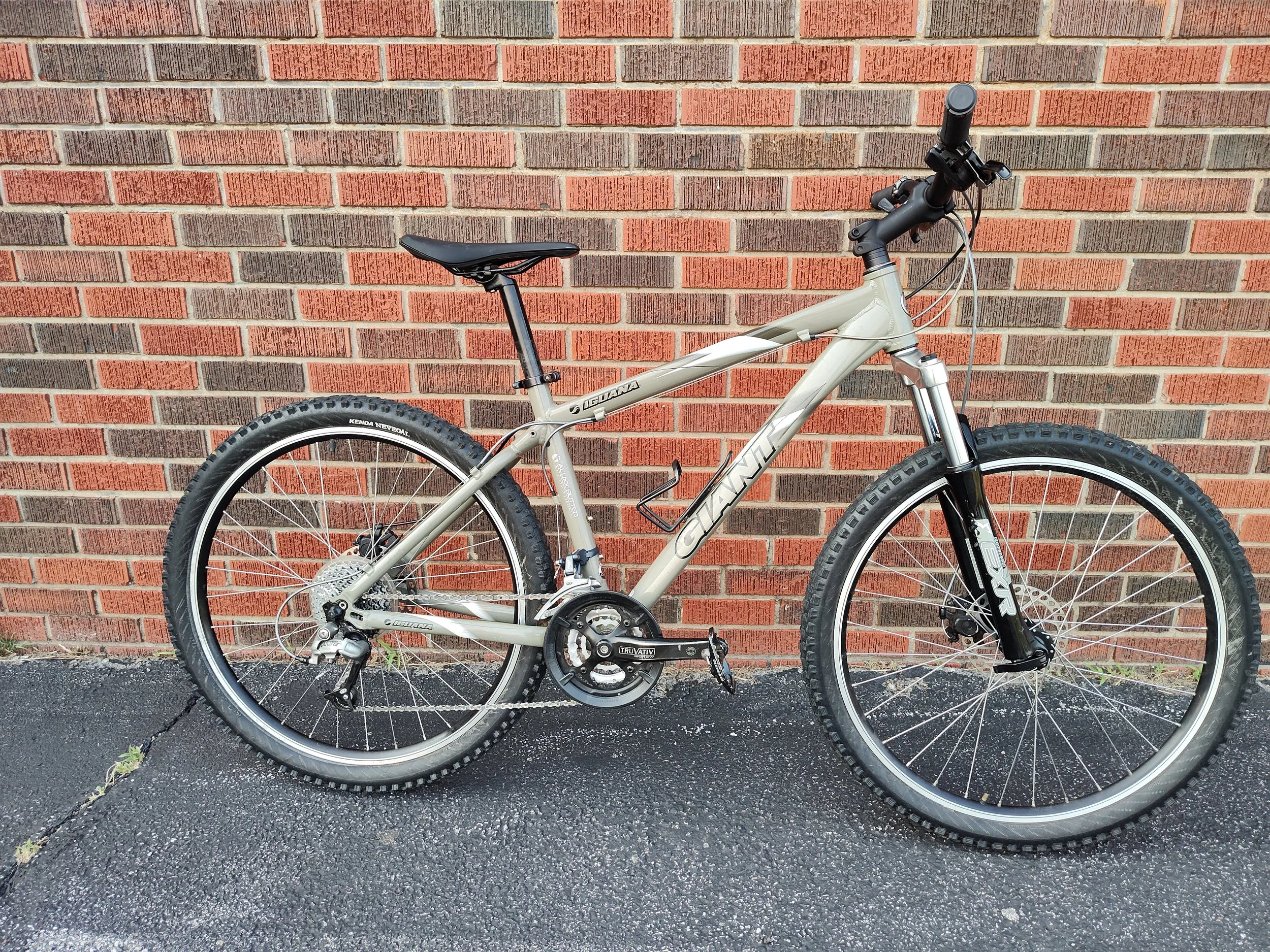 Giant Iguana (Small) — Second Wind Bicycles