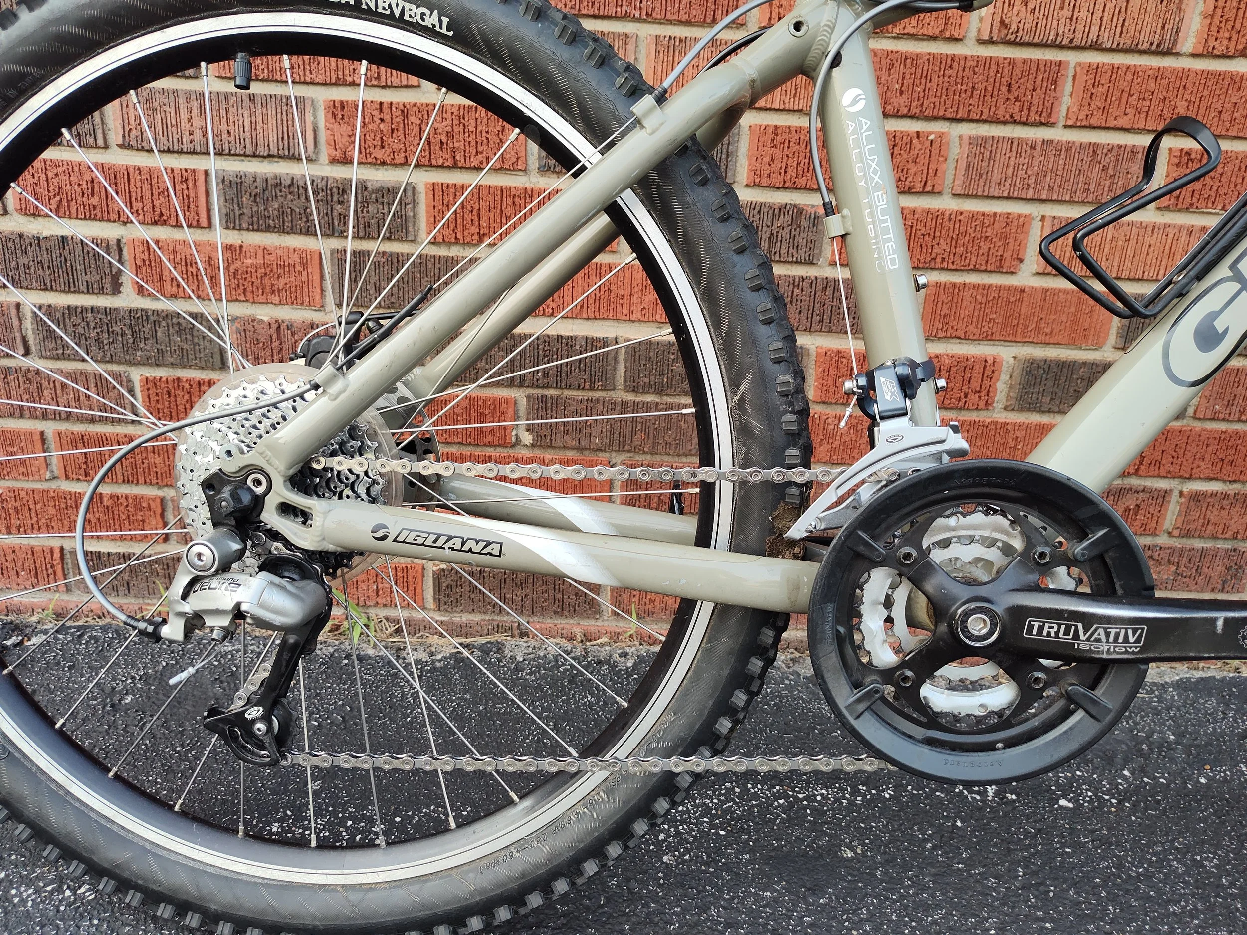 Giant Iguana (Small)  Second Wind Bicycles