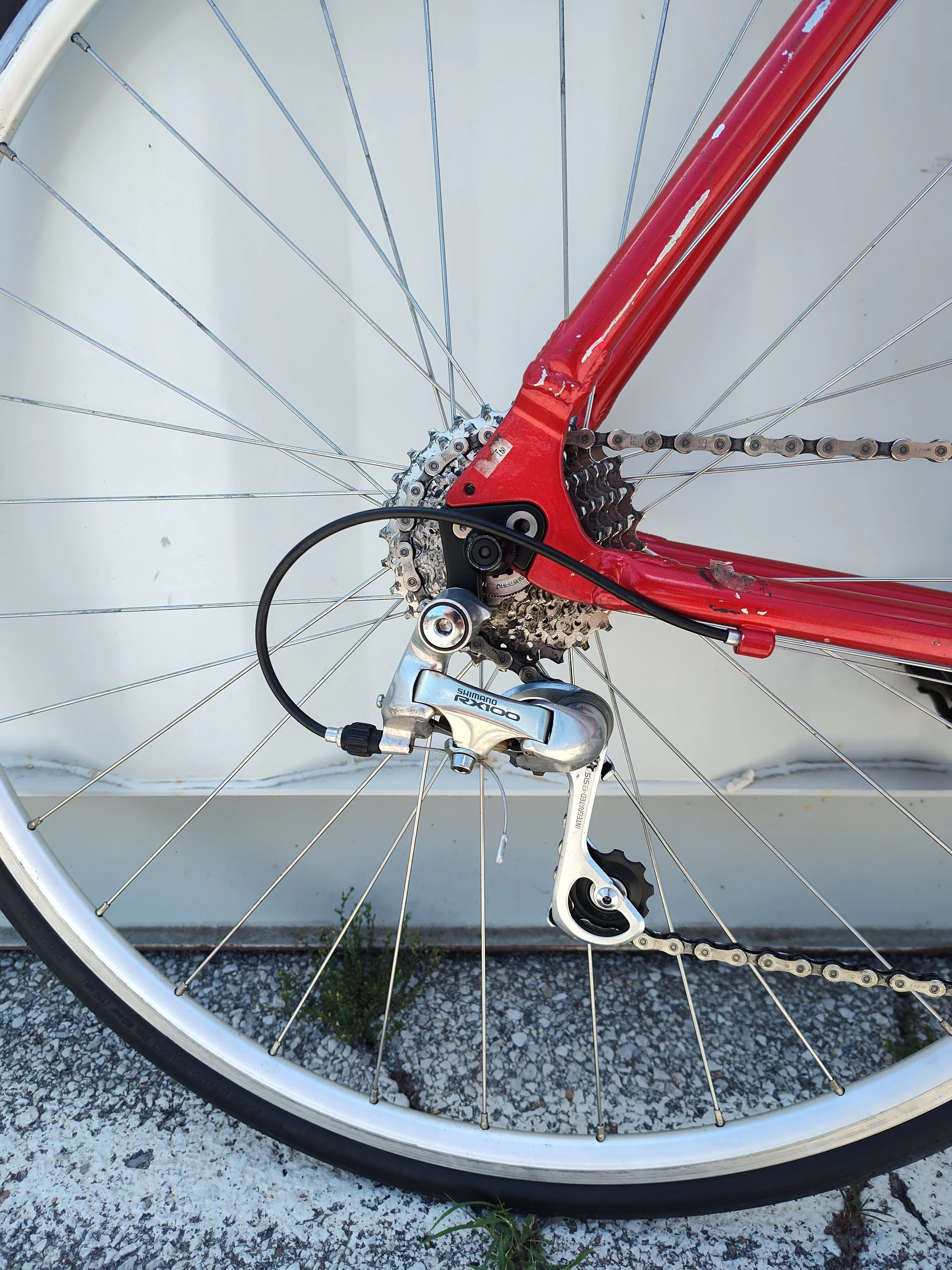 Schwinn Super Sport 3.jpg
