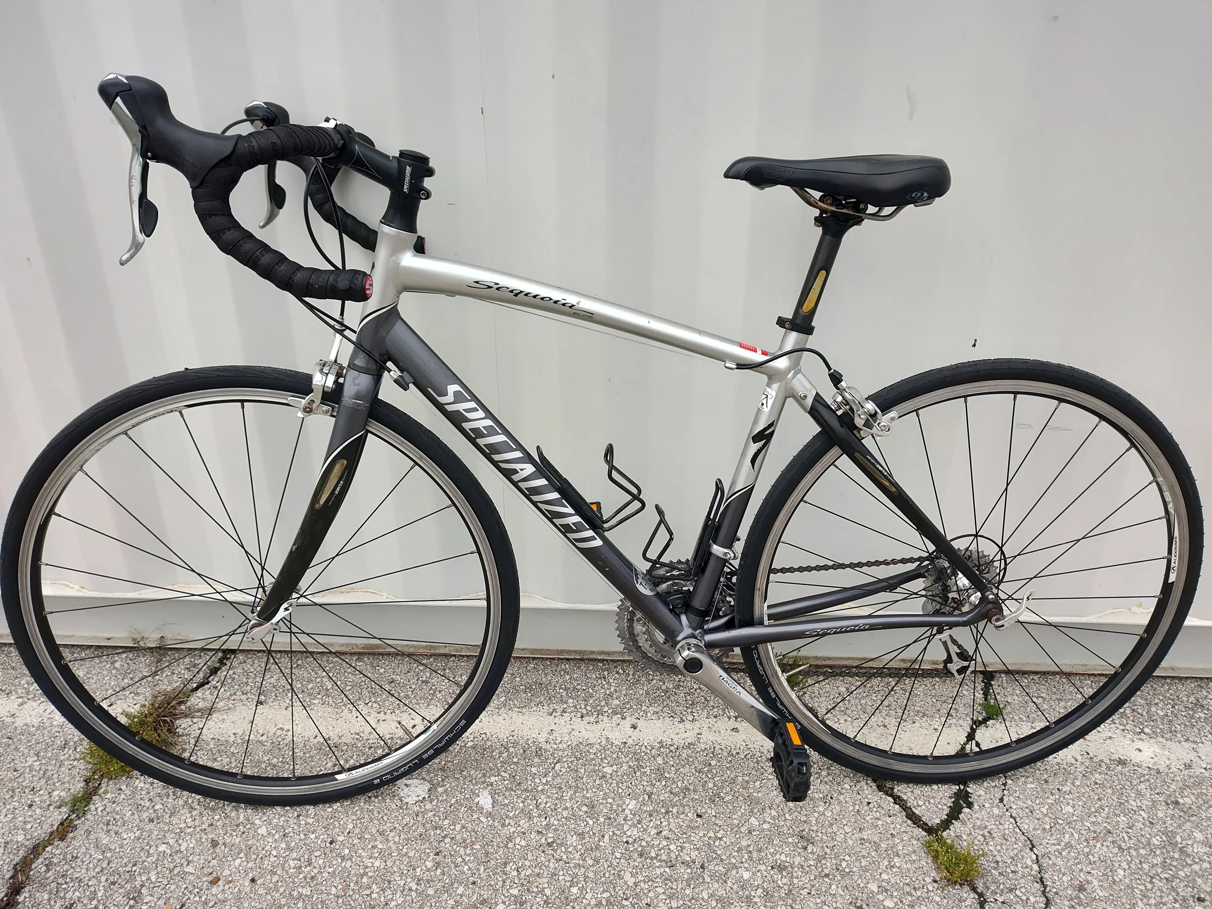 Specialized Sequoia 7.jpg