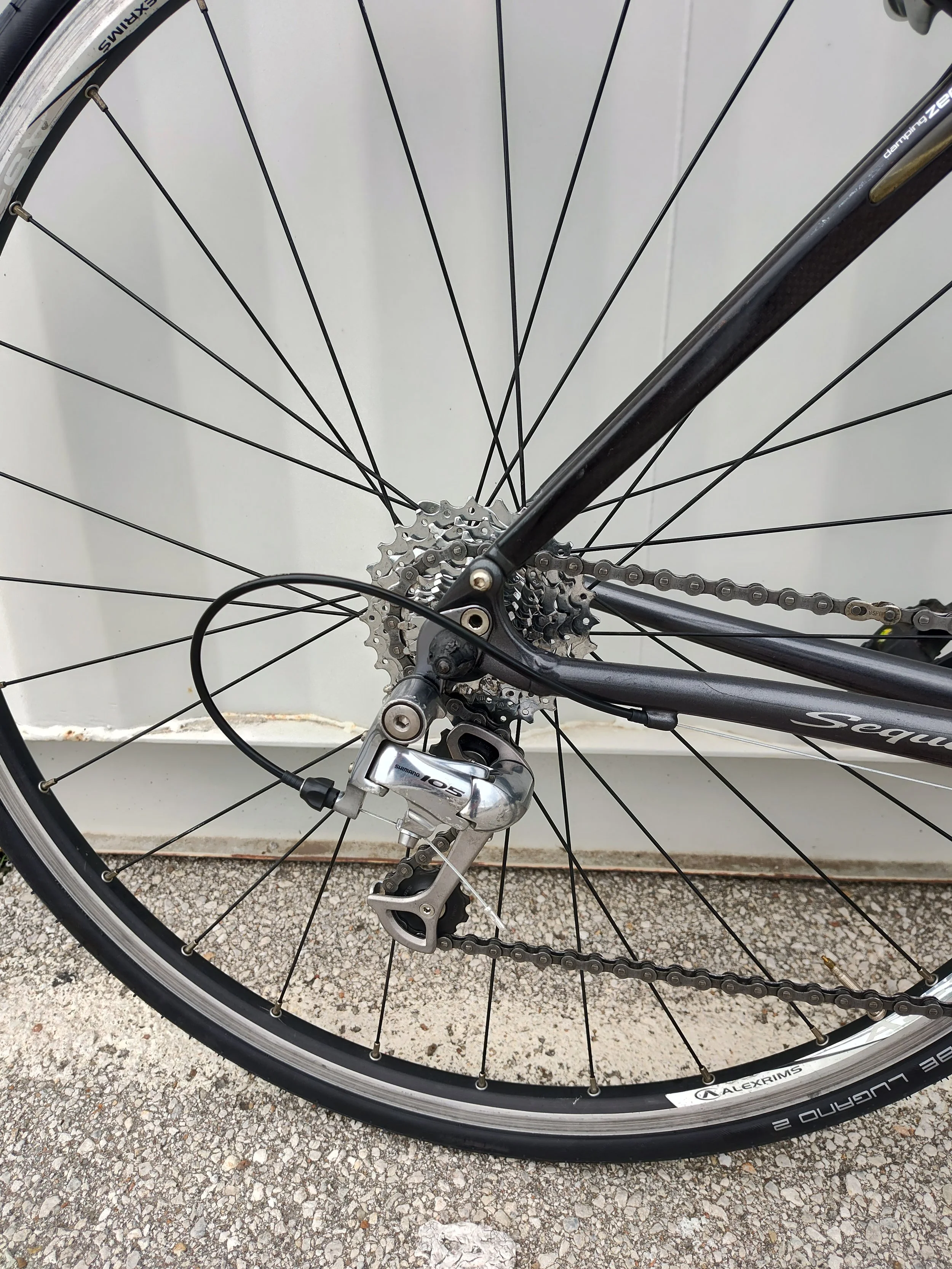 Specialized Sequoia 3.jpg