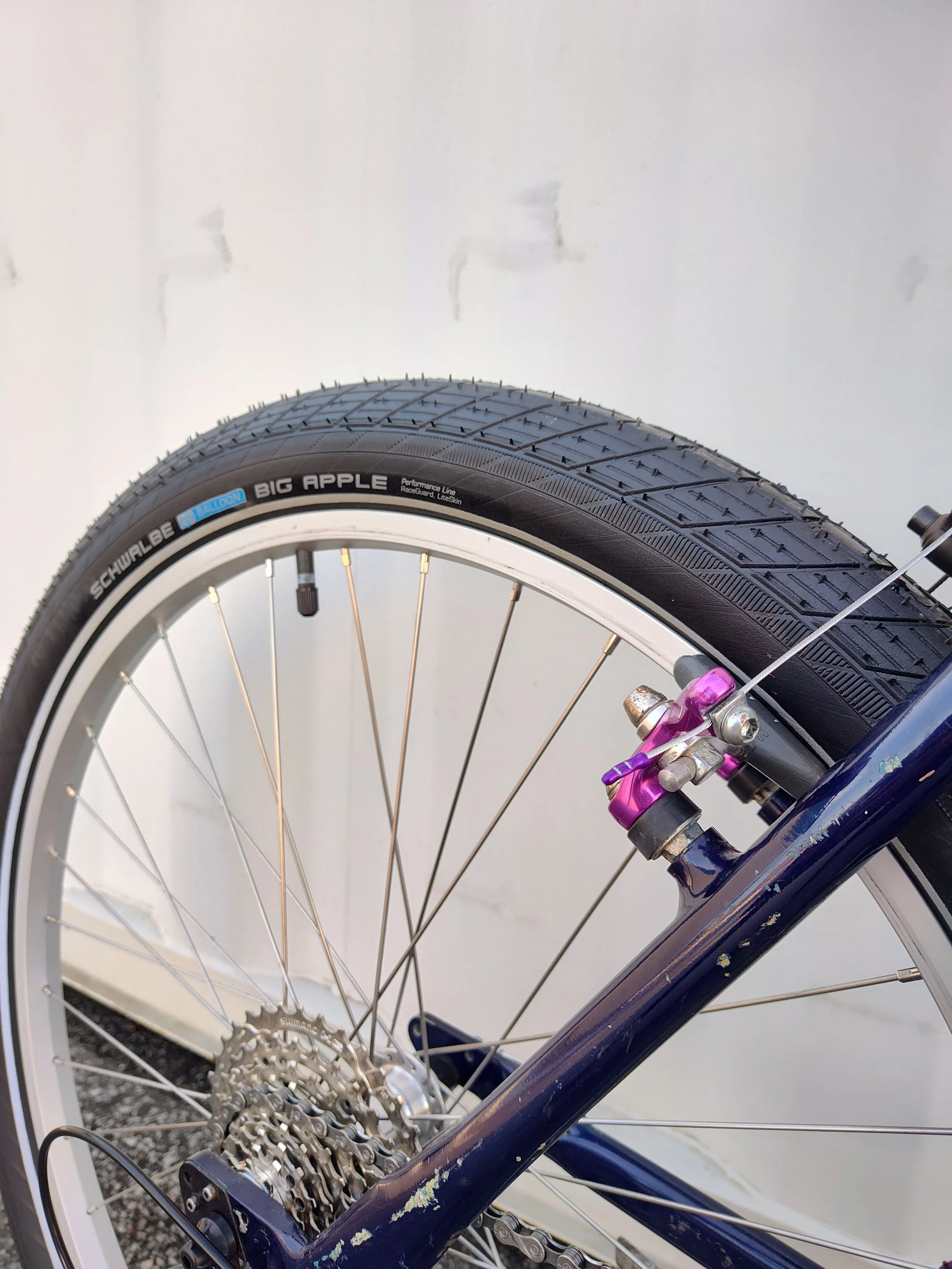 Cannondale M800 5.jpg