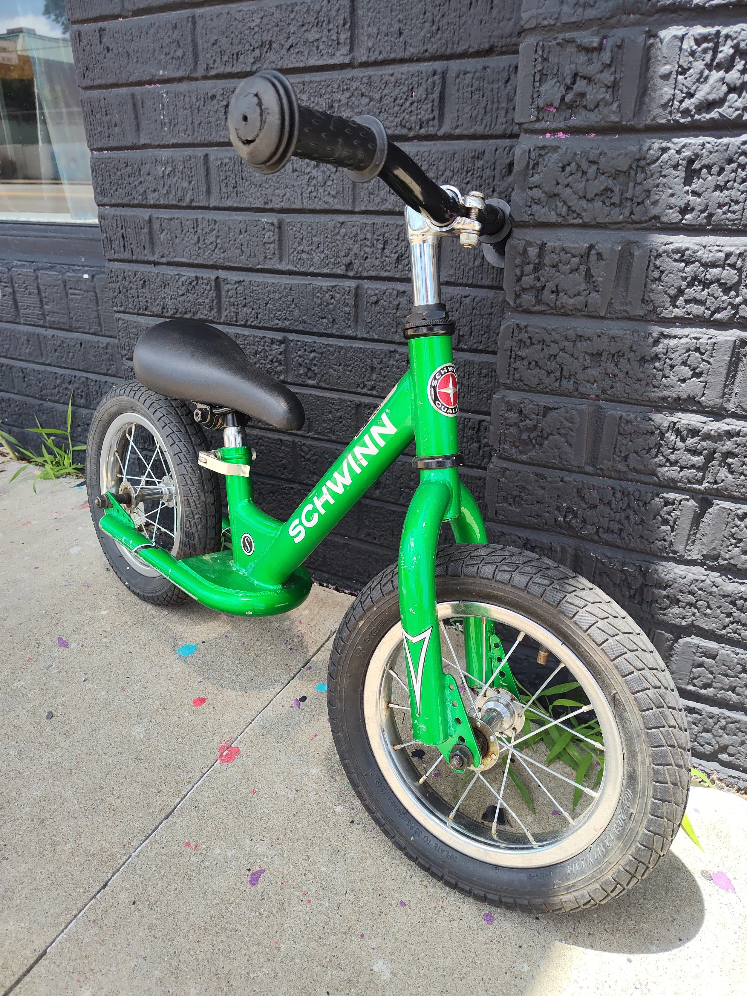 Schwinn Balance 2.jpg