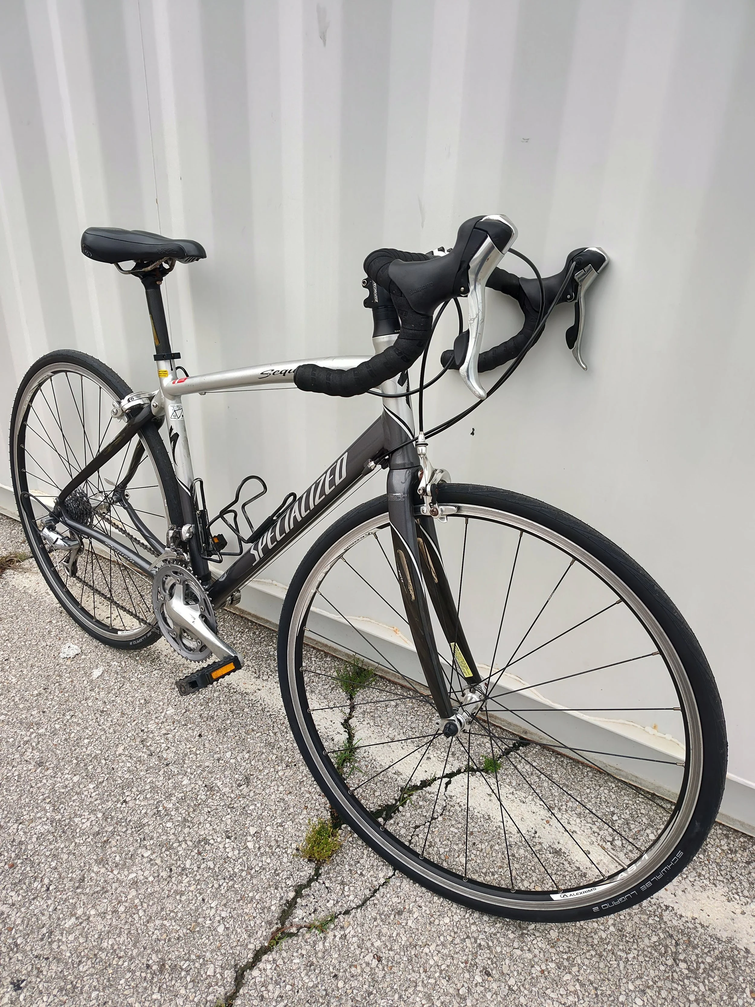 Specialized Sequoia 5.jpg