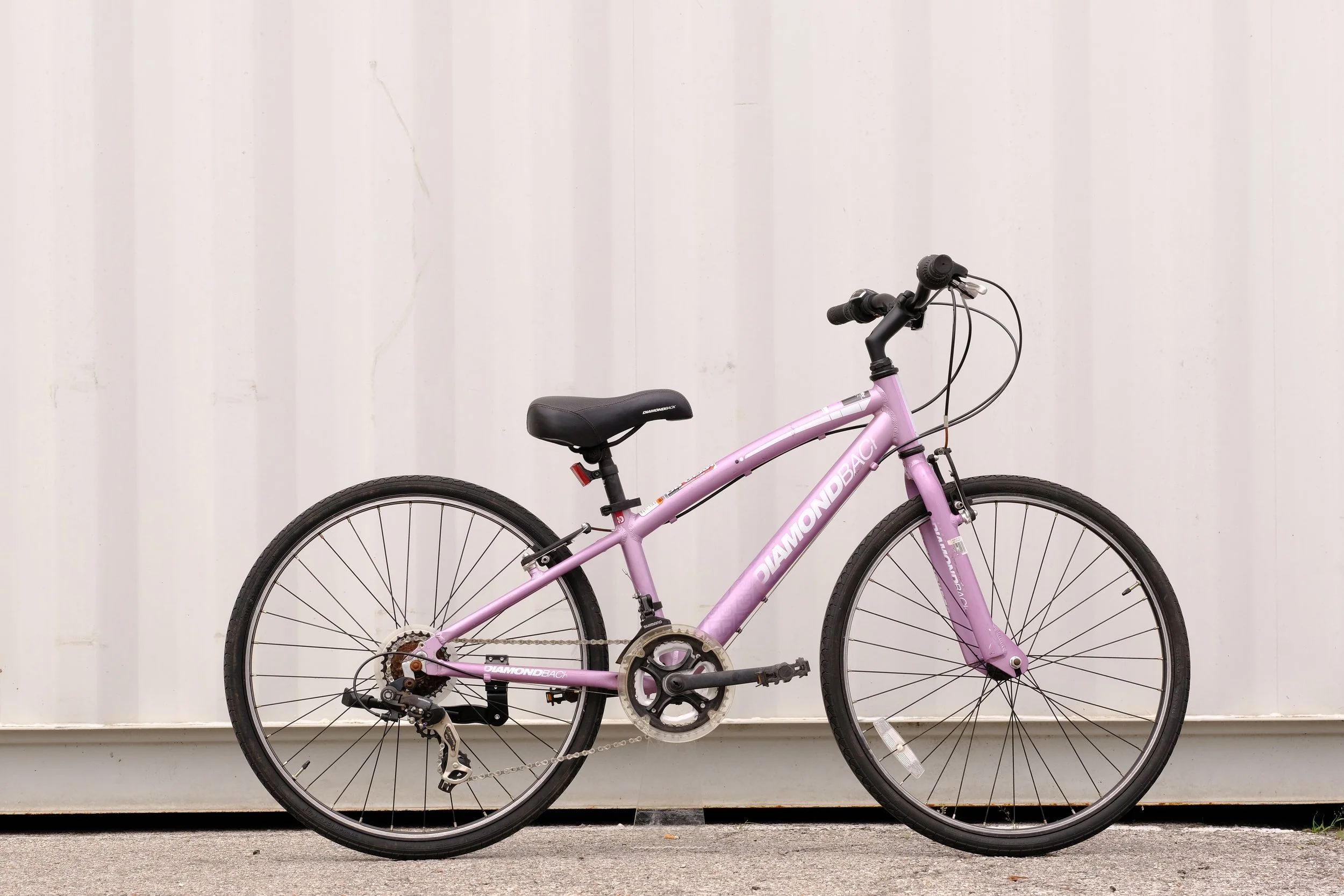 Diamondback Clarity 24