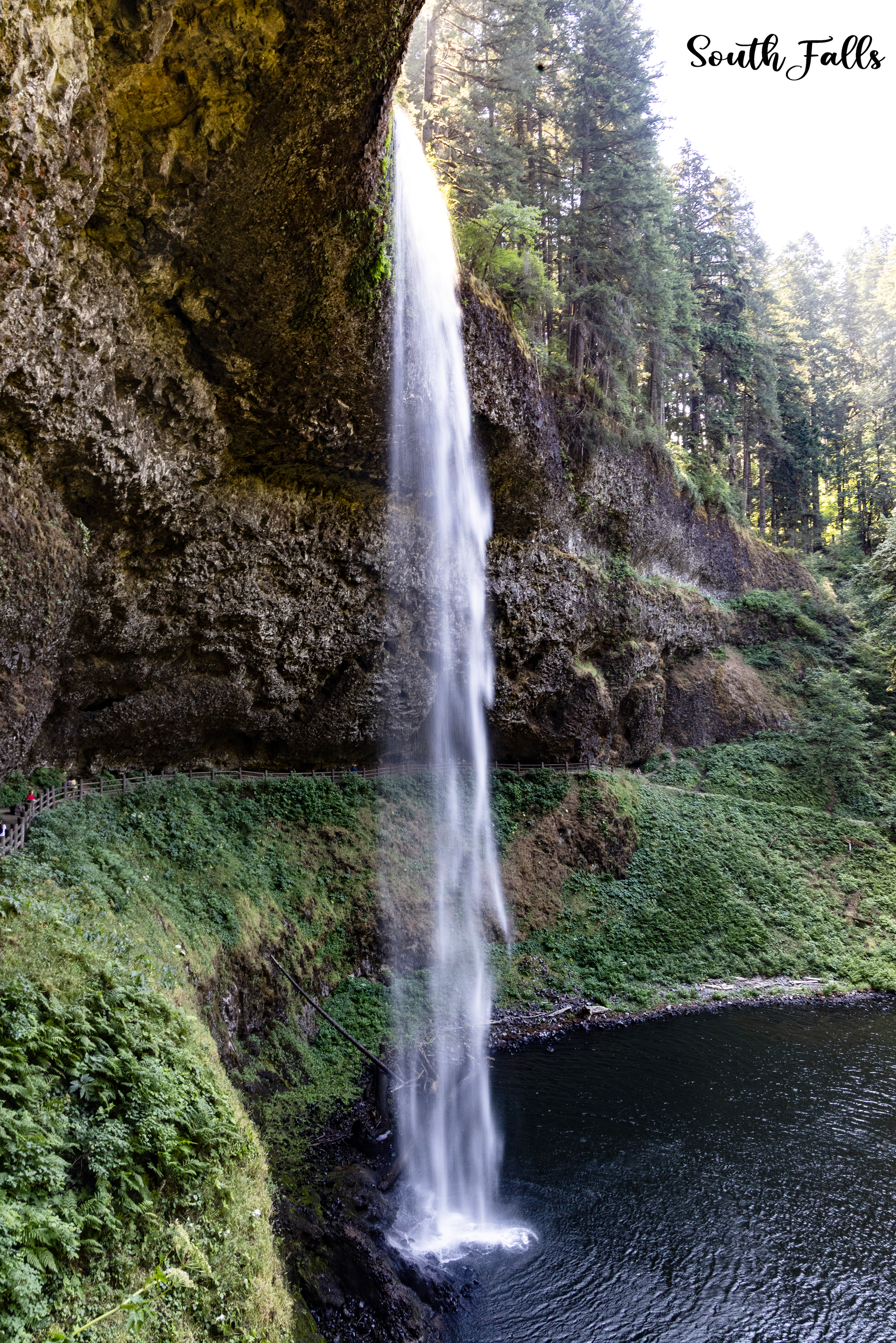 428A7453 copy 2.png