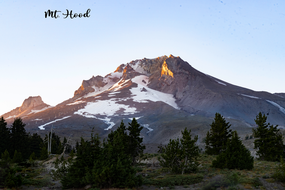 Oregon (and Shasta, CA)