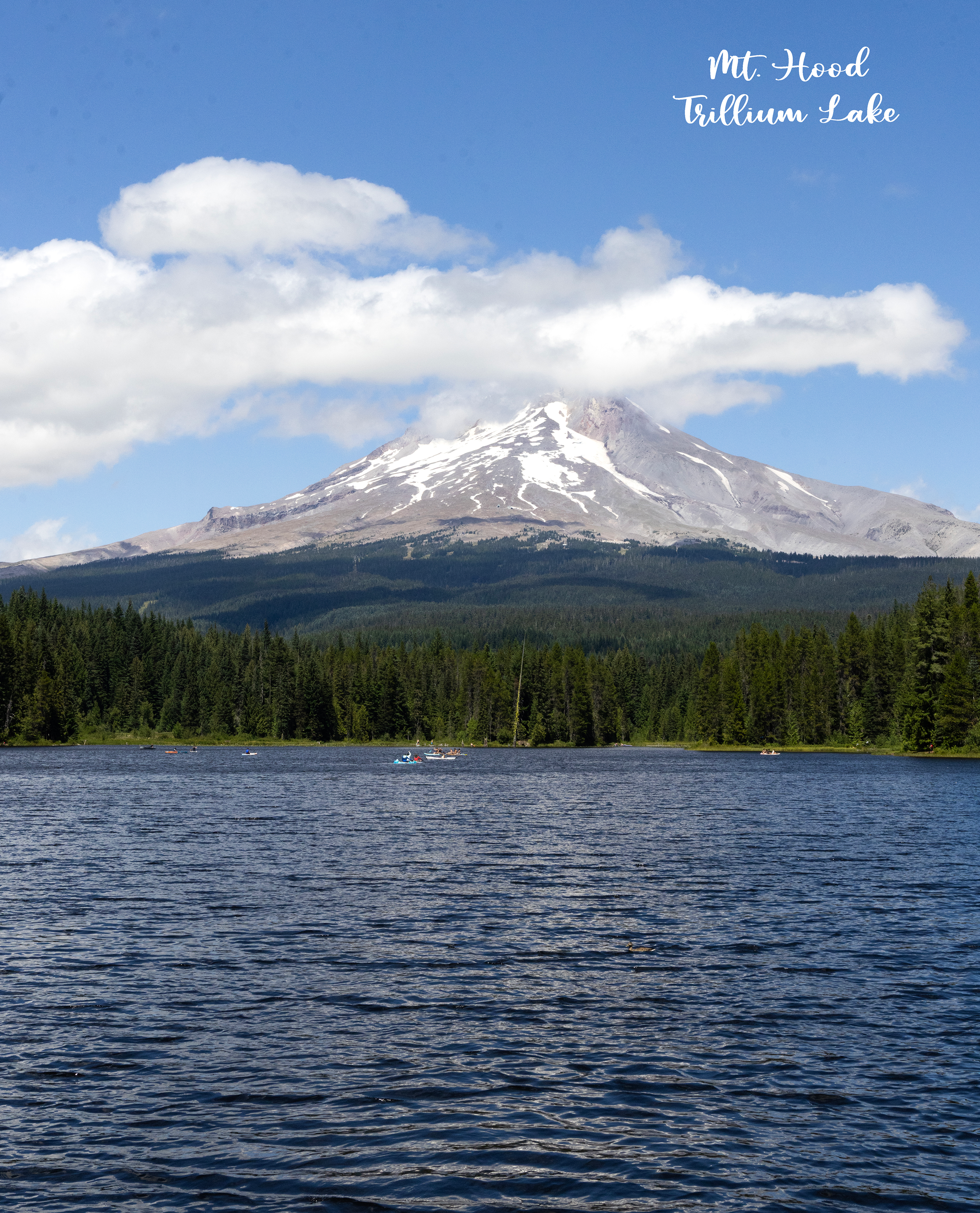 428A7562 copy 2.png