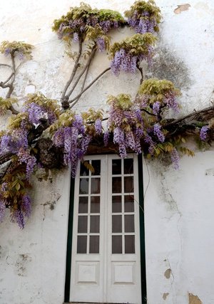 Obidos
