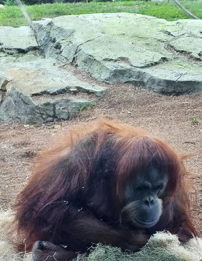 image000000 copy.jpg