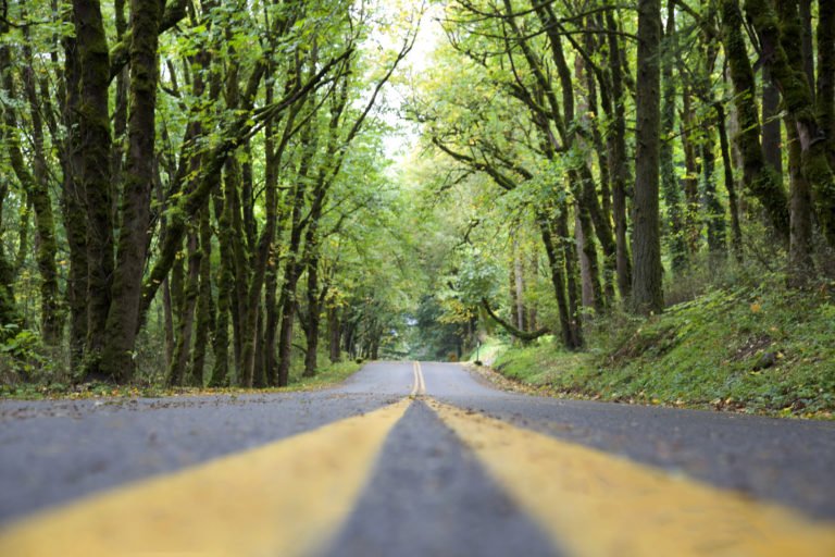 Along the Columbia Gorge, Oregon