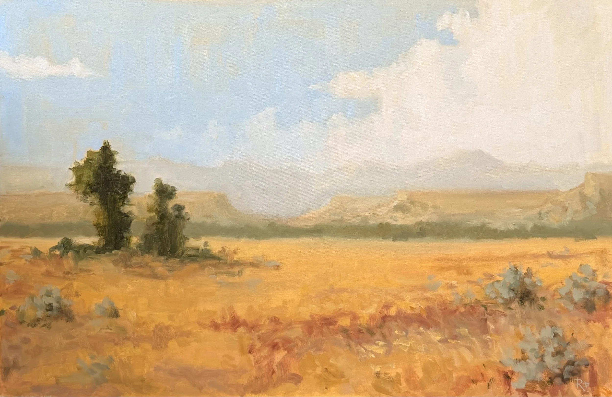 A Hazy Afternoon.jpg
