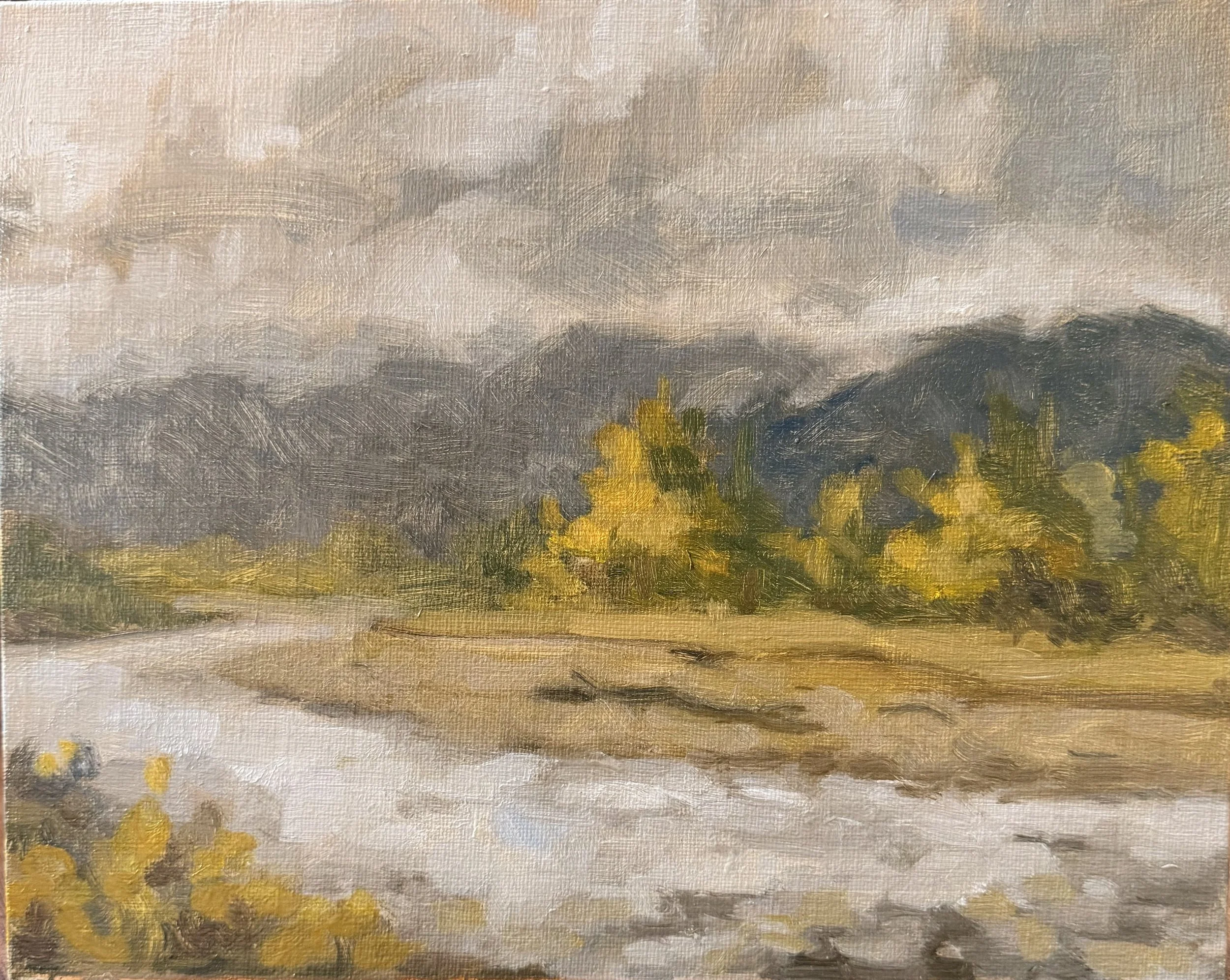 Spring Study 4
