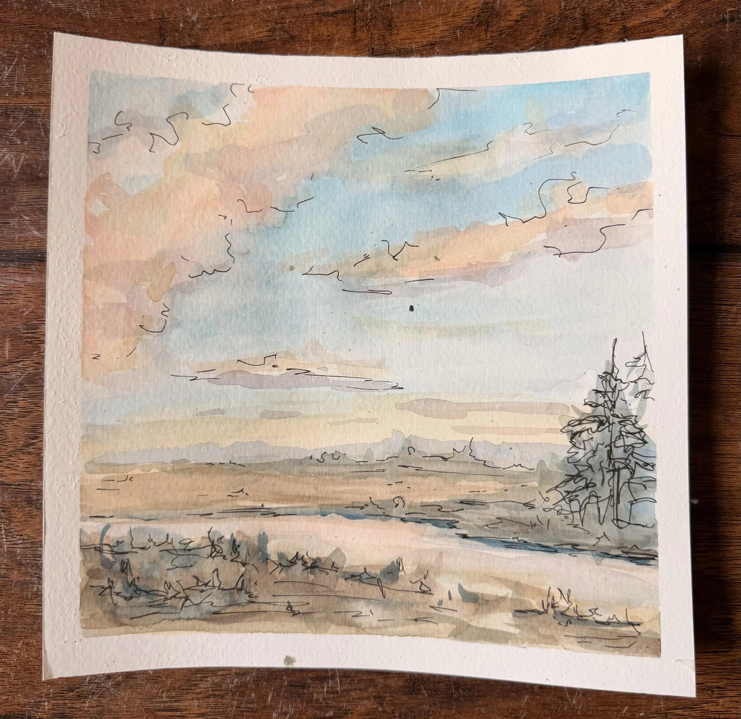 Spring Study 1