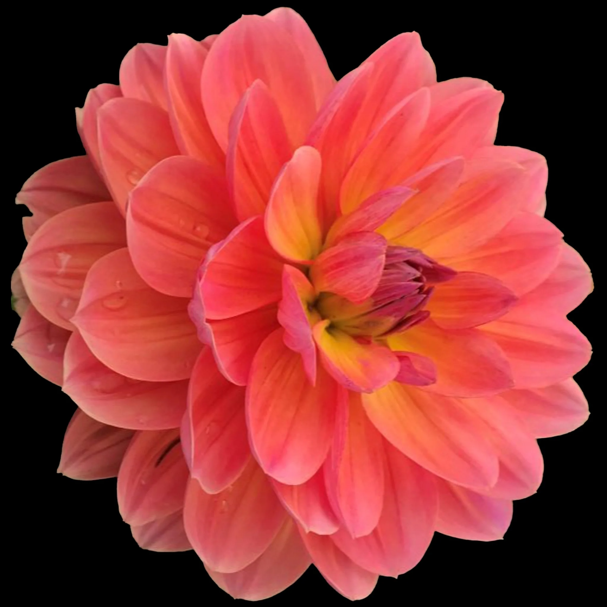 OregonSunset (002).jpg