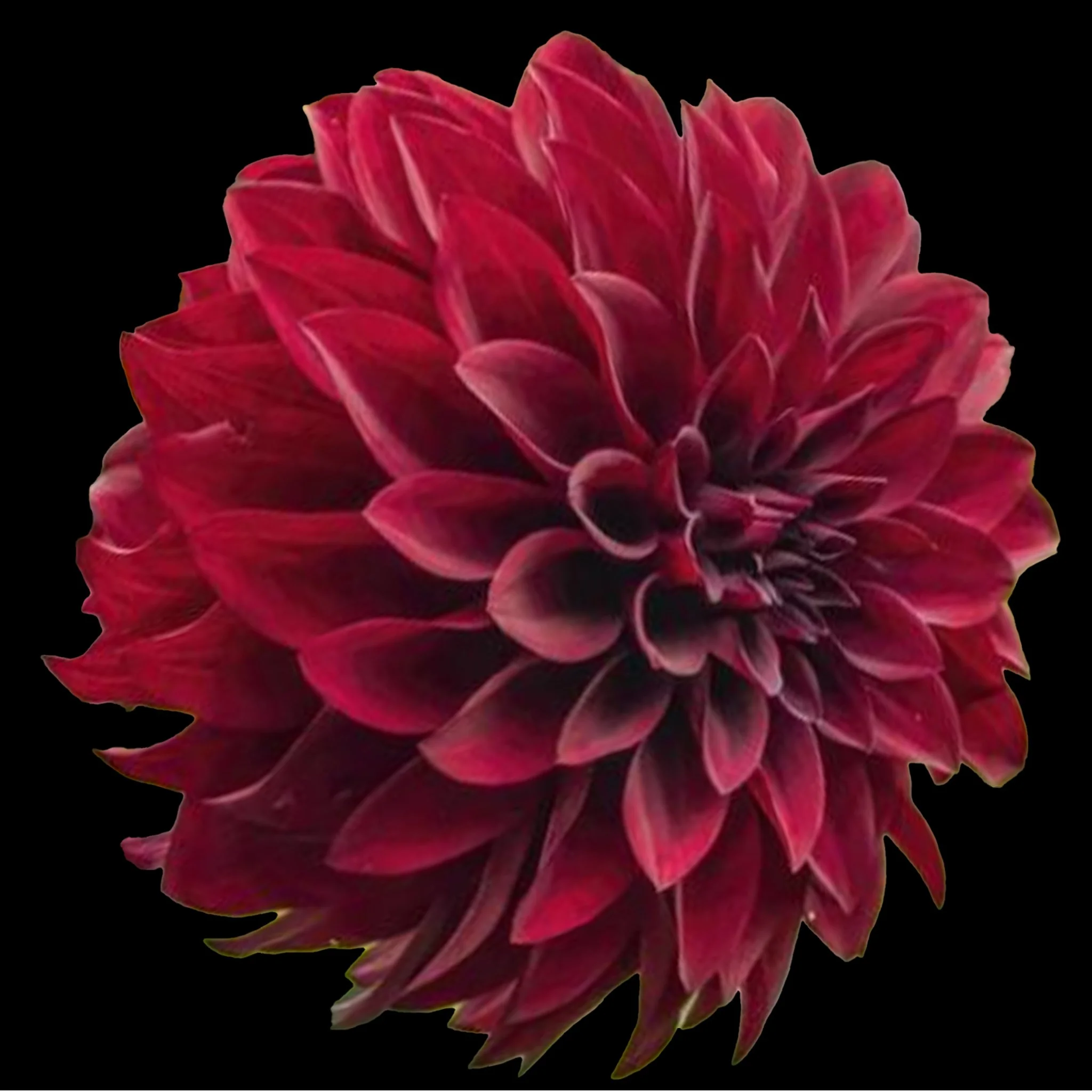 Bloomquist-Port .jpg