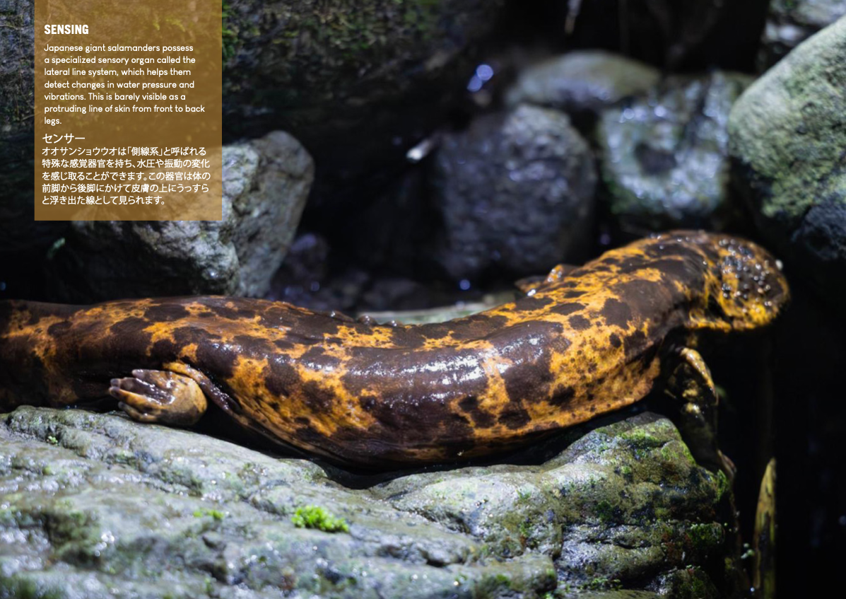 Screenshot 2026-01-02 at 16.01.57.png