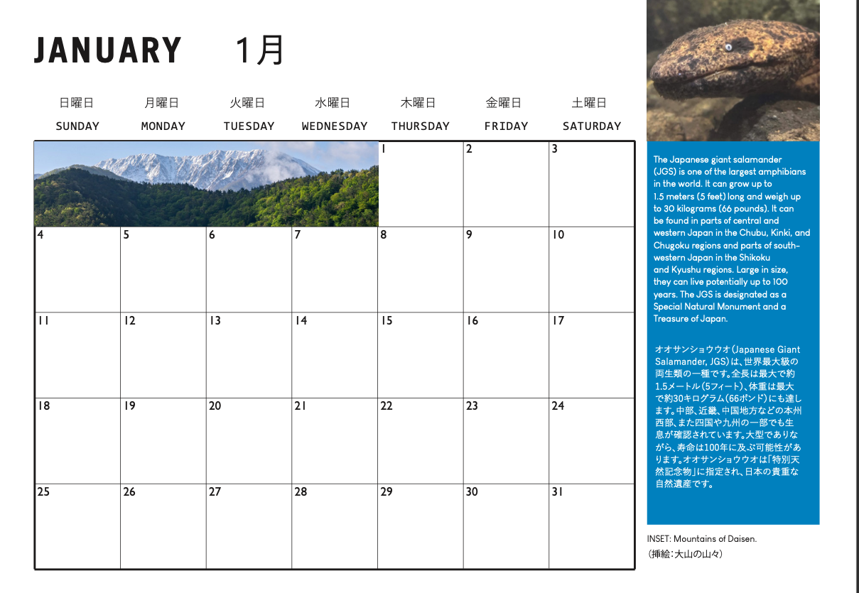 Screenshot 2026-01-02 at 16.00.58.png