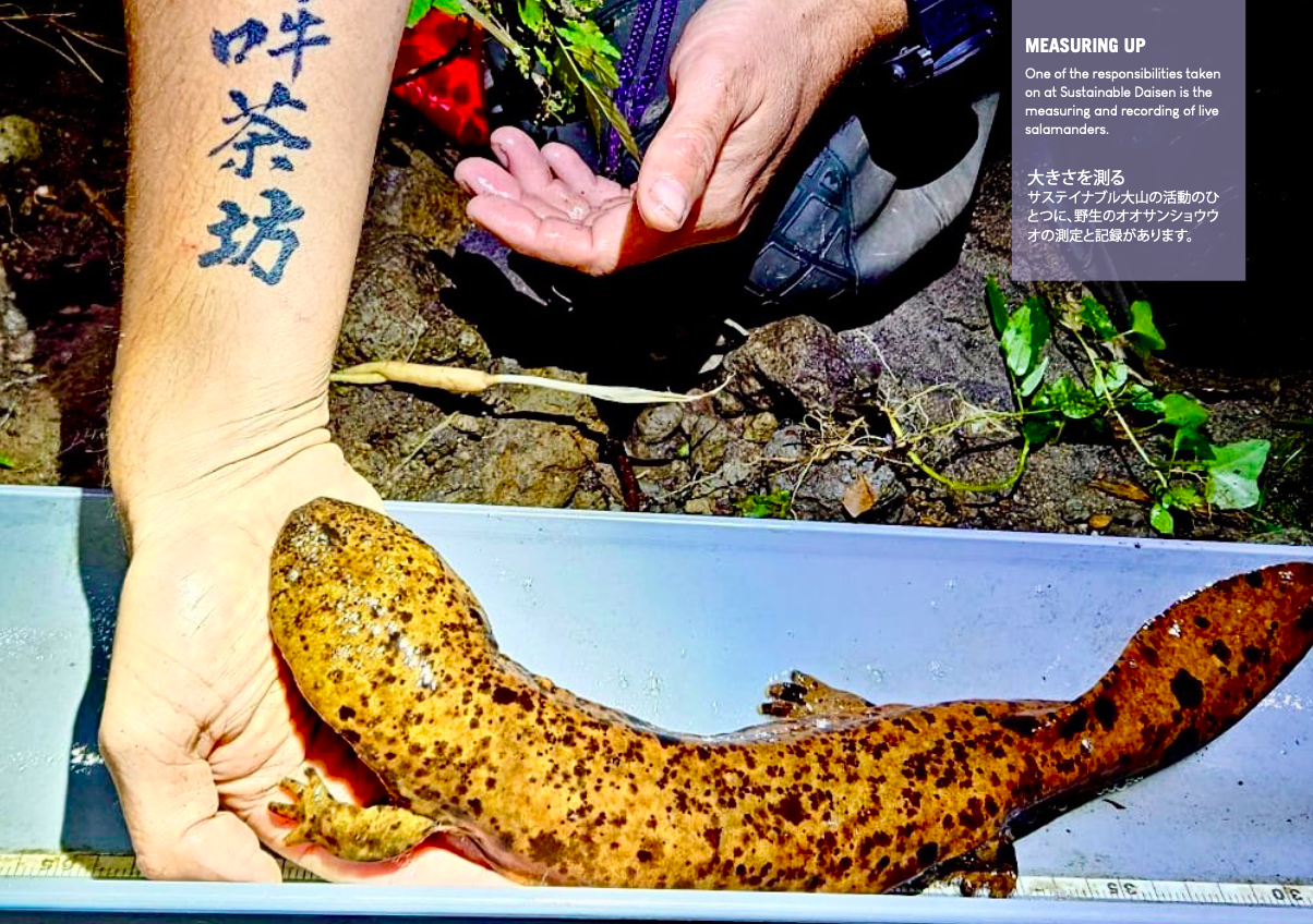 Screenshot 2026-01-02 at 16.01.14.png