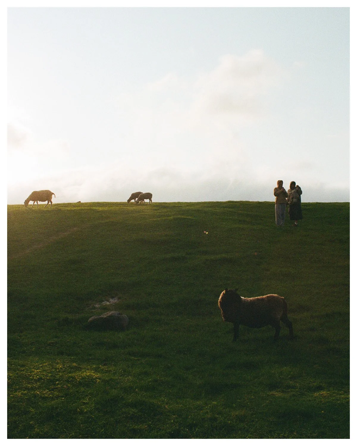 Norway Borders16.jpg