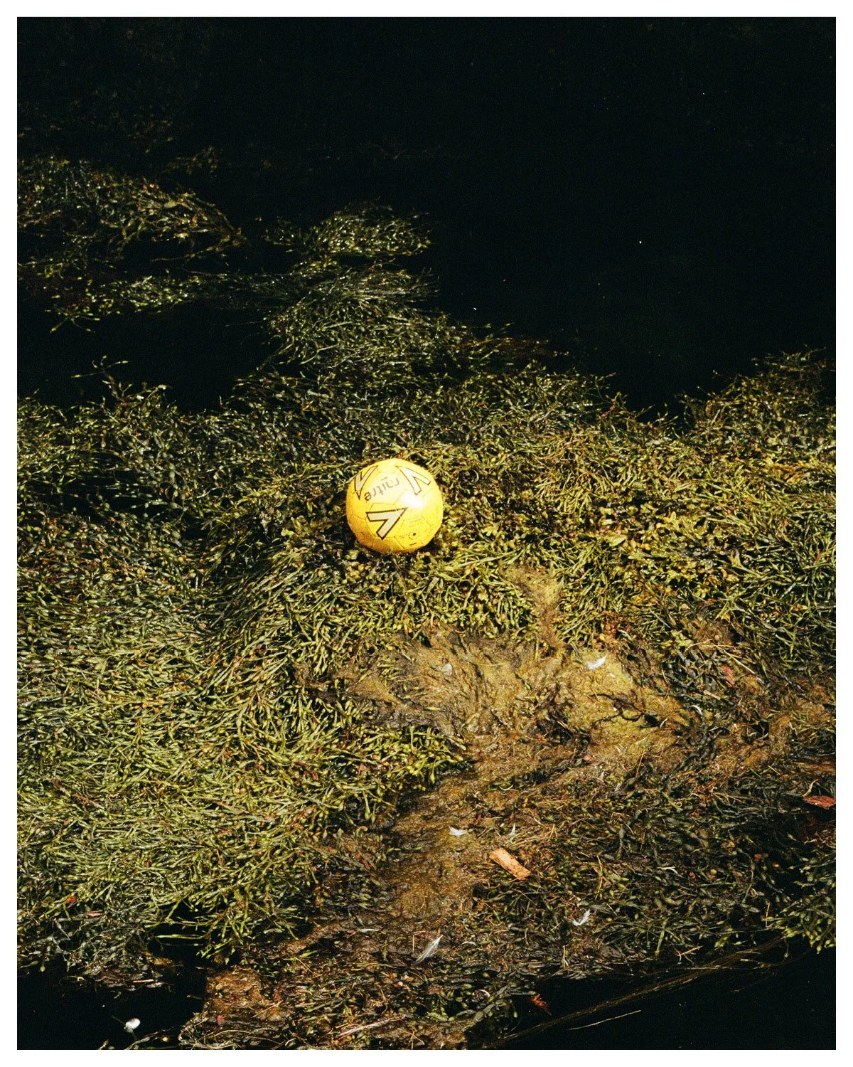 Norway Borders18.jpg