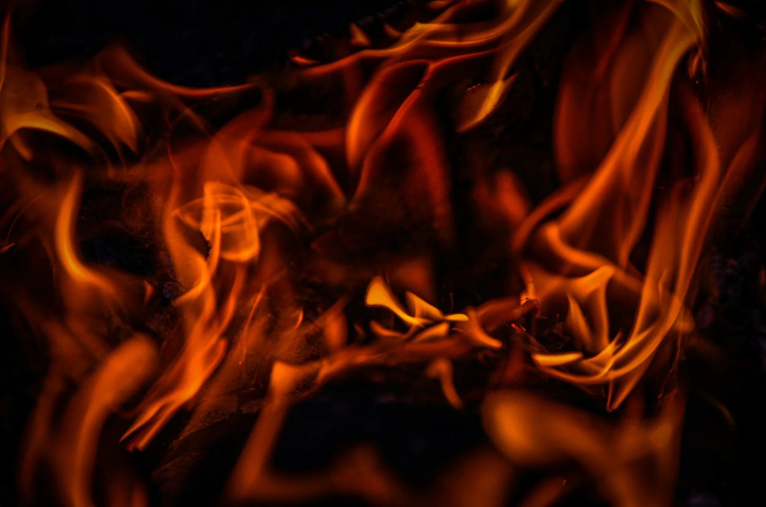 After the Flood: How Recognizing I Had Burnout Saved My Life