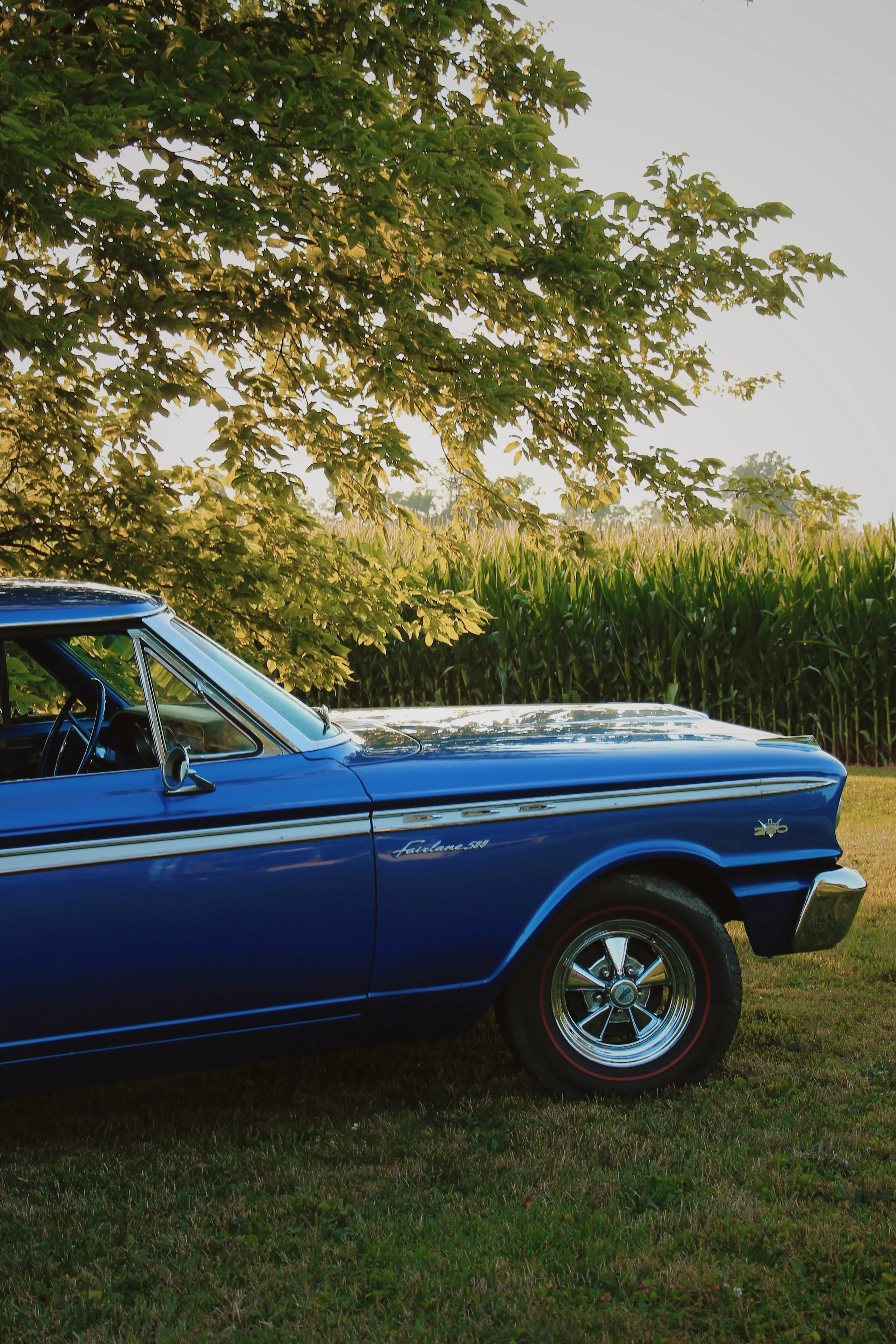EF440A56-4E73-4135-BEFD-365ECDDF11A5.jpg