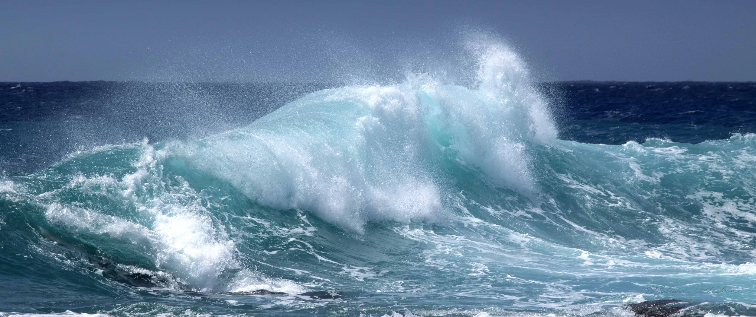 South End Wave