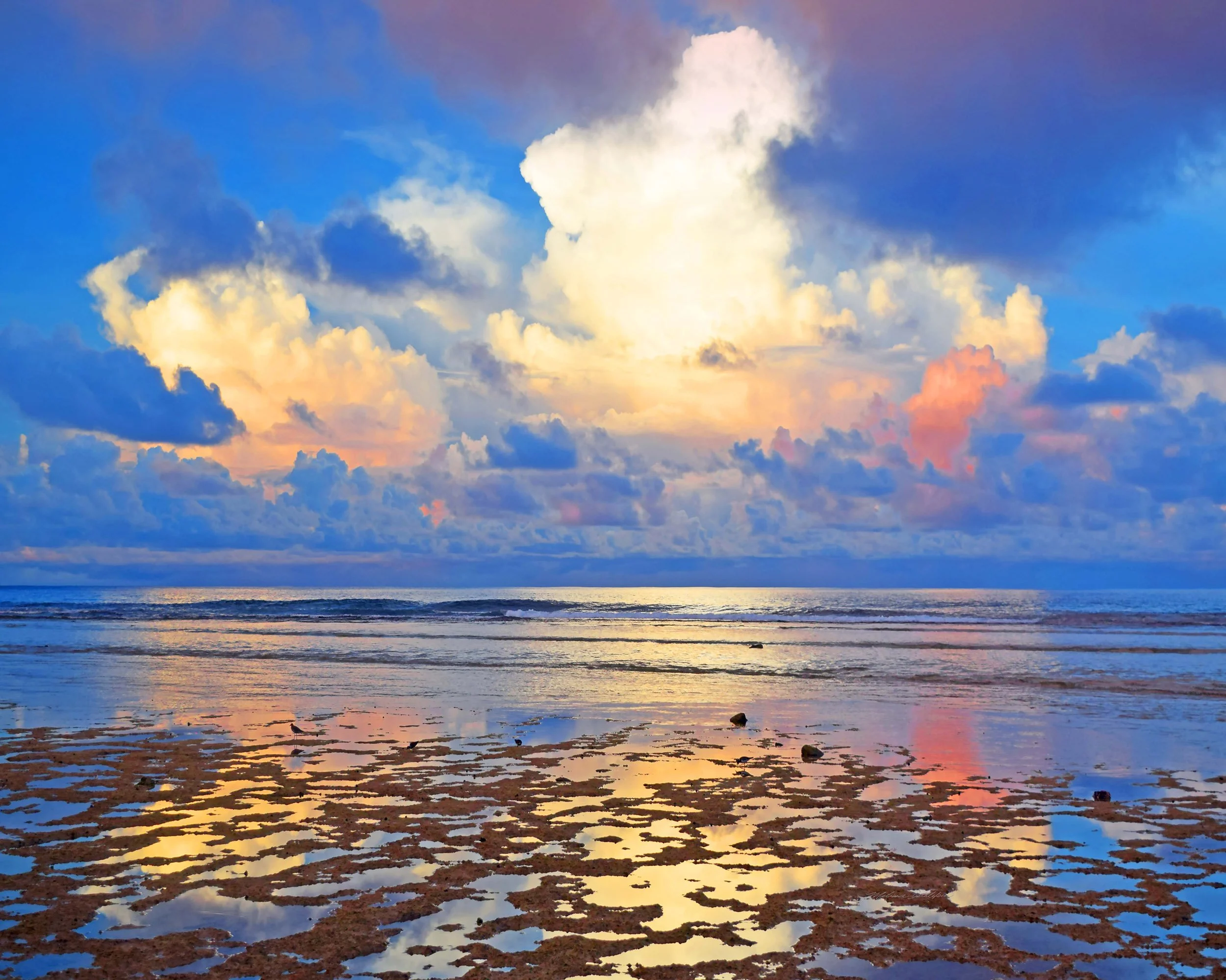 Oceanside Reflection
