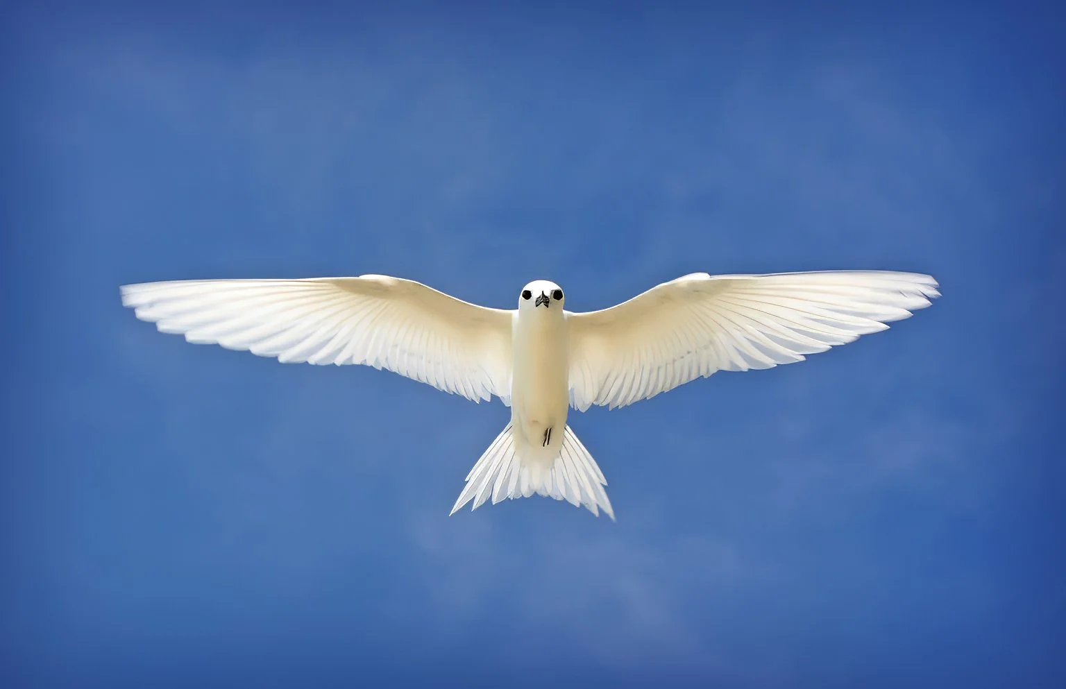 Flight