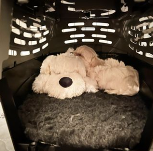 Screenshot 2024-10-04 202554.png