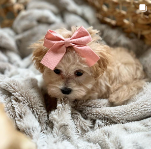 Screenshot 2024-10-04 202513.png