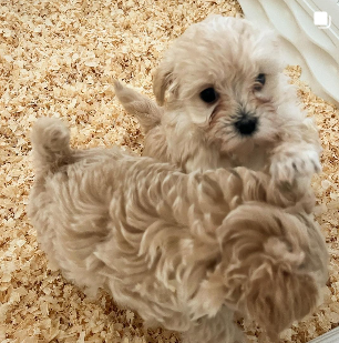 Screenshot 2024-10-04 202435.png