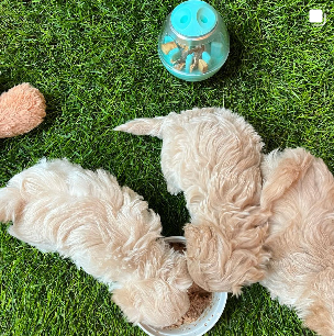 Screenshot 2024-10-04 202348.png