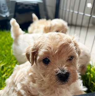 Screenshot 2024-10-04 202534.png