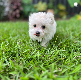 Screenshot 2024-10-04 202457.png