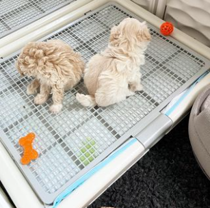 Screenshot 2024-10-04 202414.png