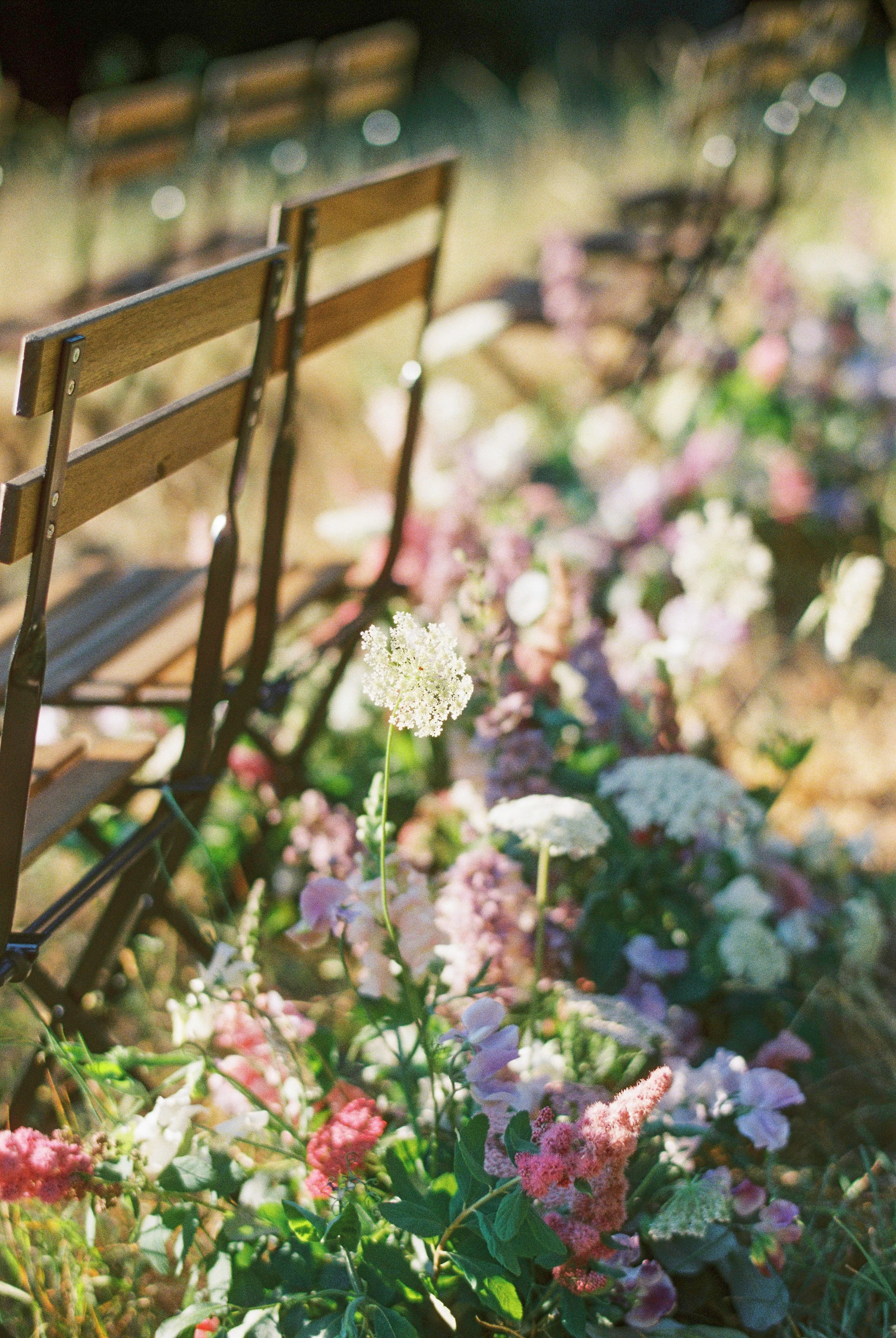 Wildfloret Arch - ItkasanImages - Portra800 film - 35mm-2.jpg