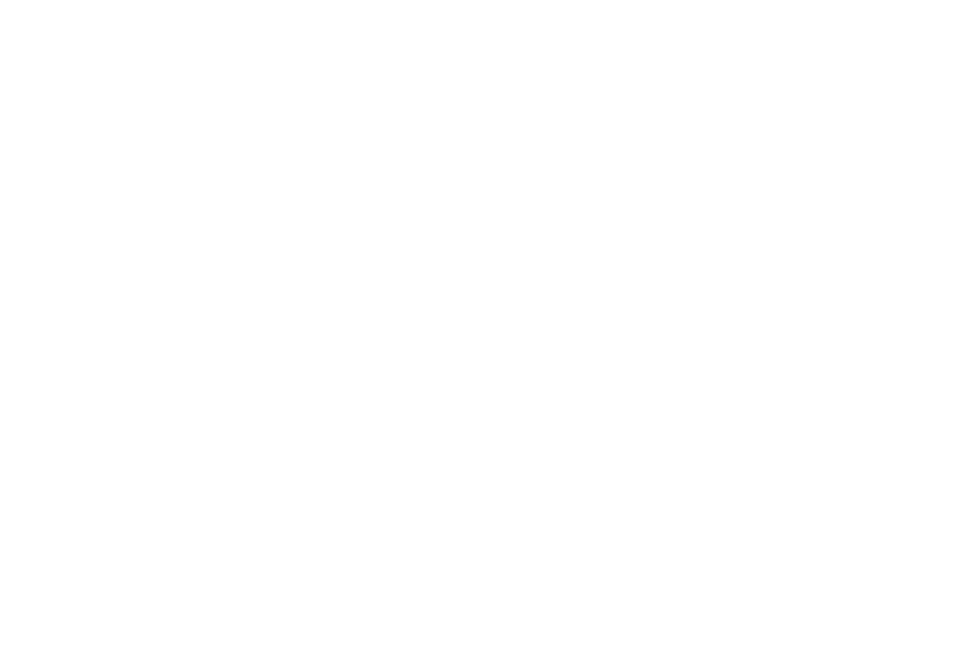 Black background with the white, bold text 'Mulberry' in the center.